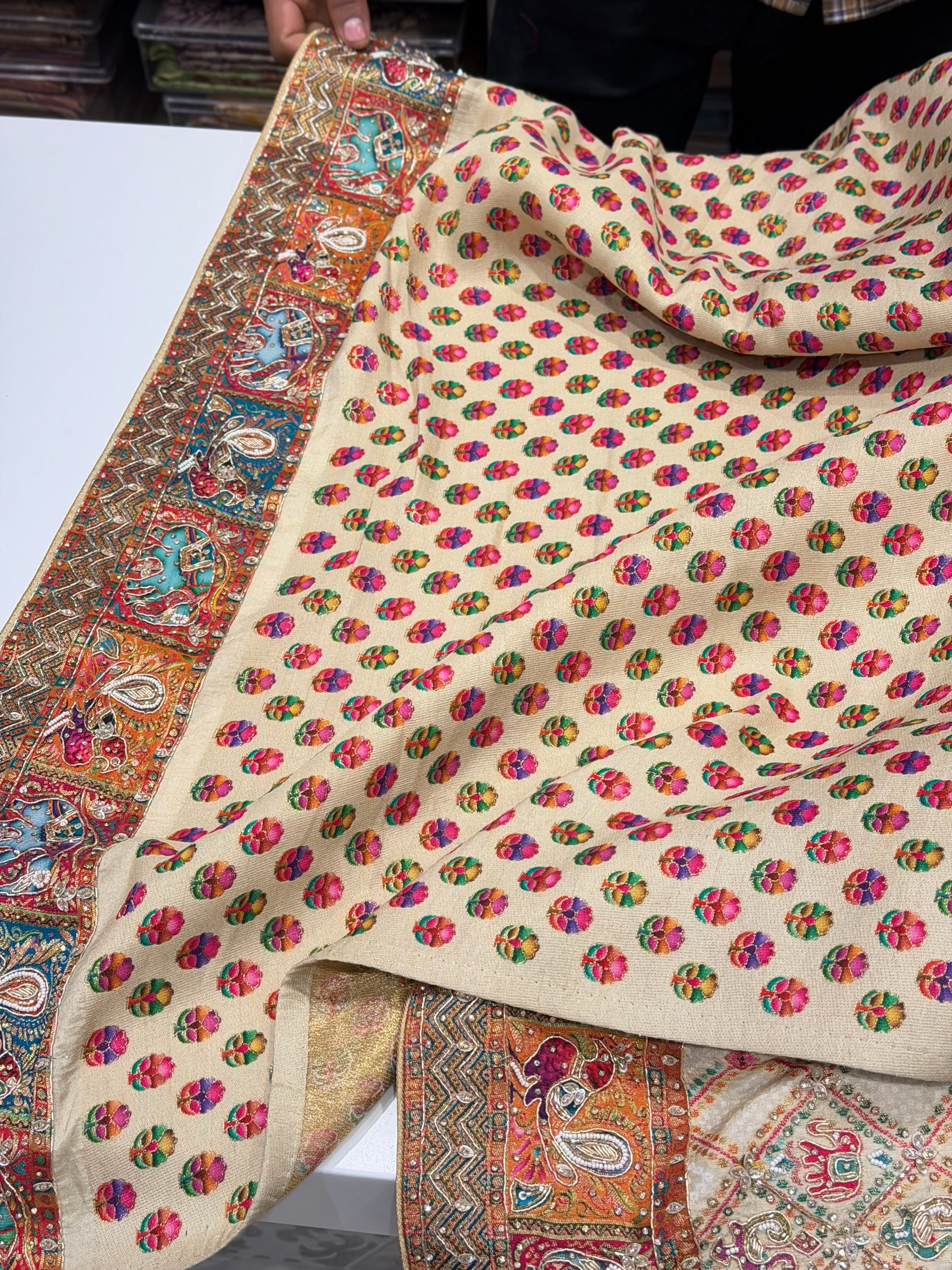 Beige Pashmina Banarasi Munga Patola Style Hand Embroidery Saree