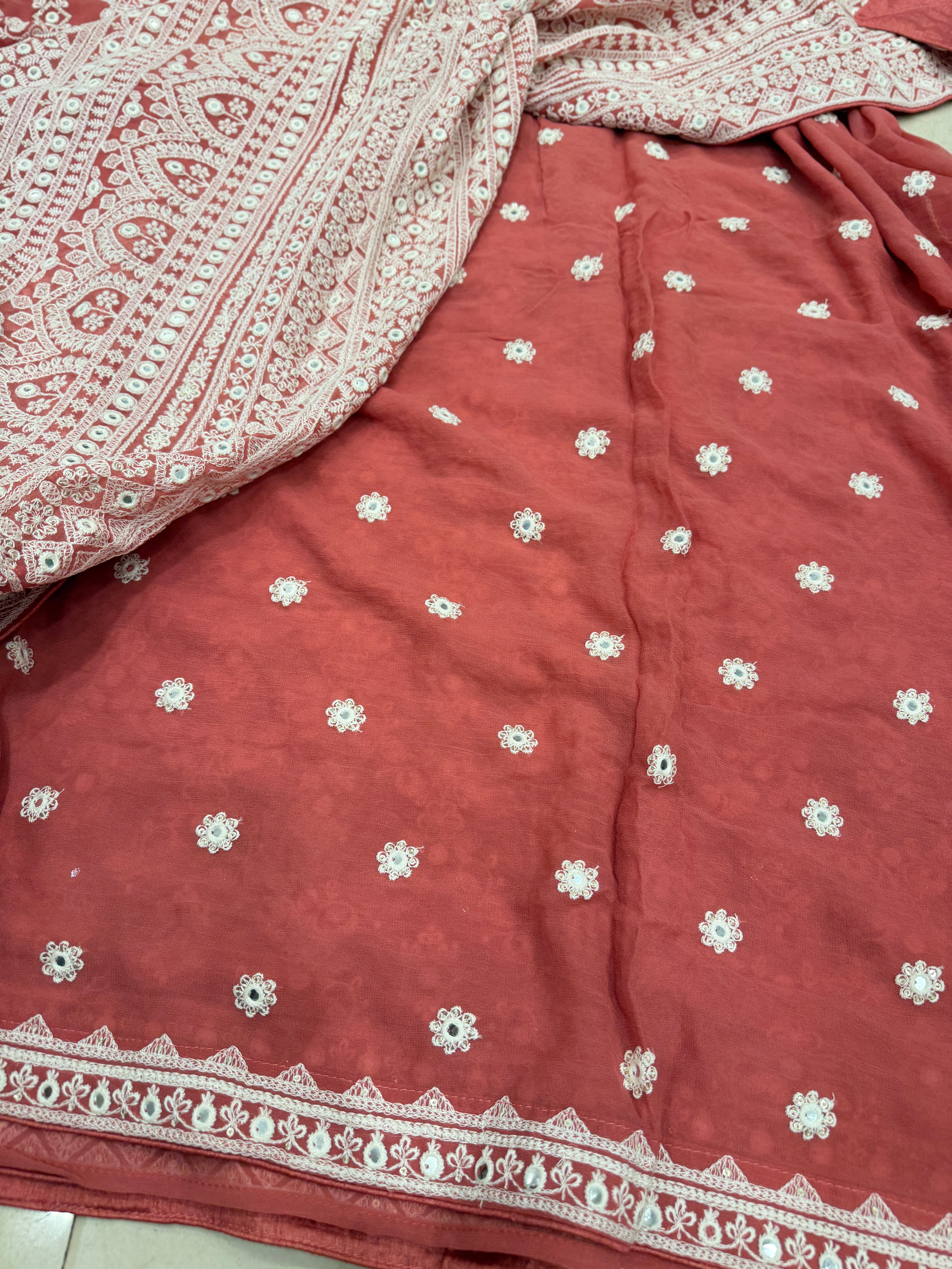 Rust Red Chikankari Jaal Georgette Resham Embroidery Saree