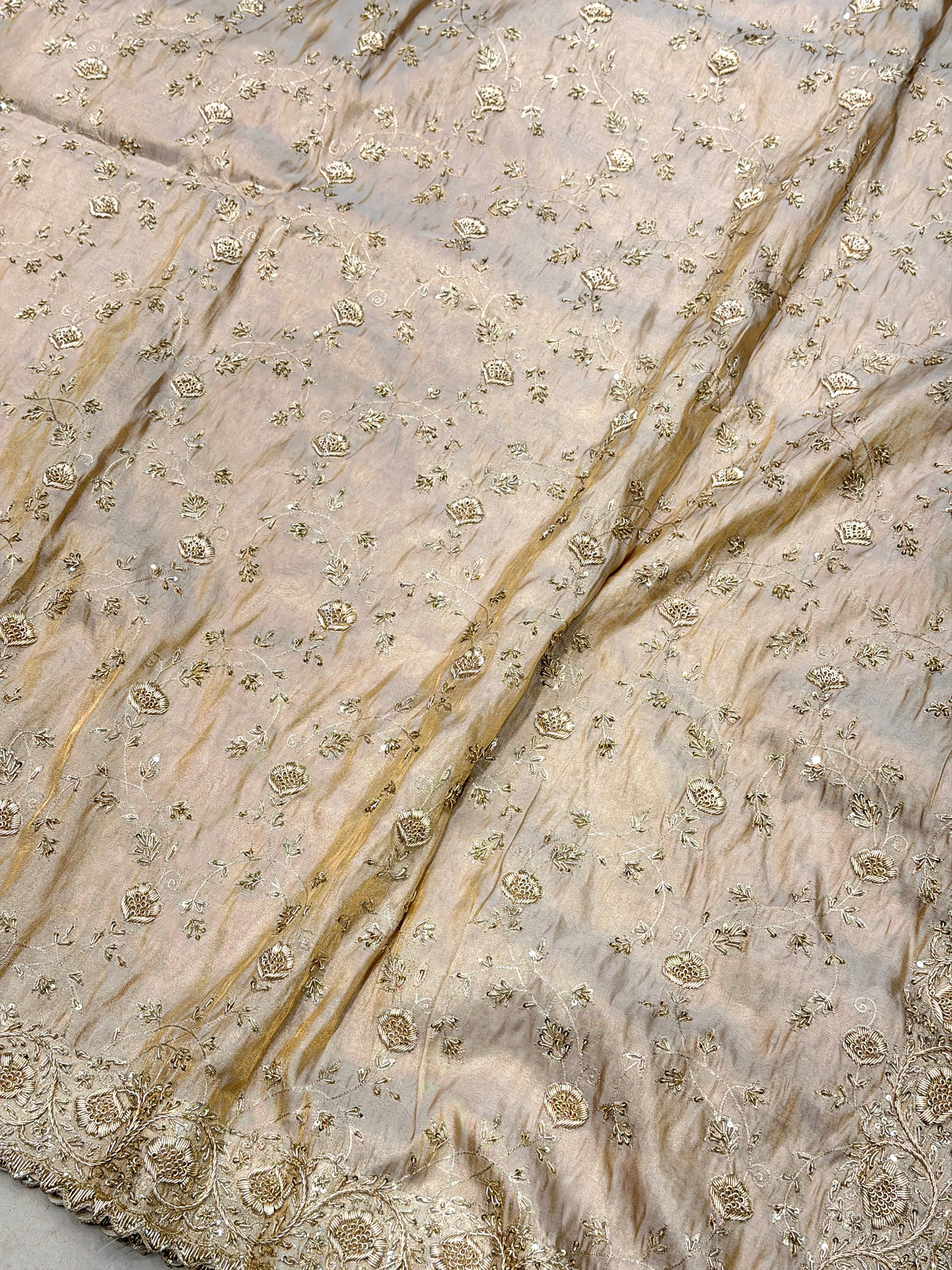 Ivory Tissue Zardosi Floral Jaal Hand Embroidery Saree