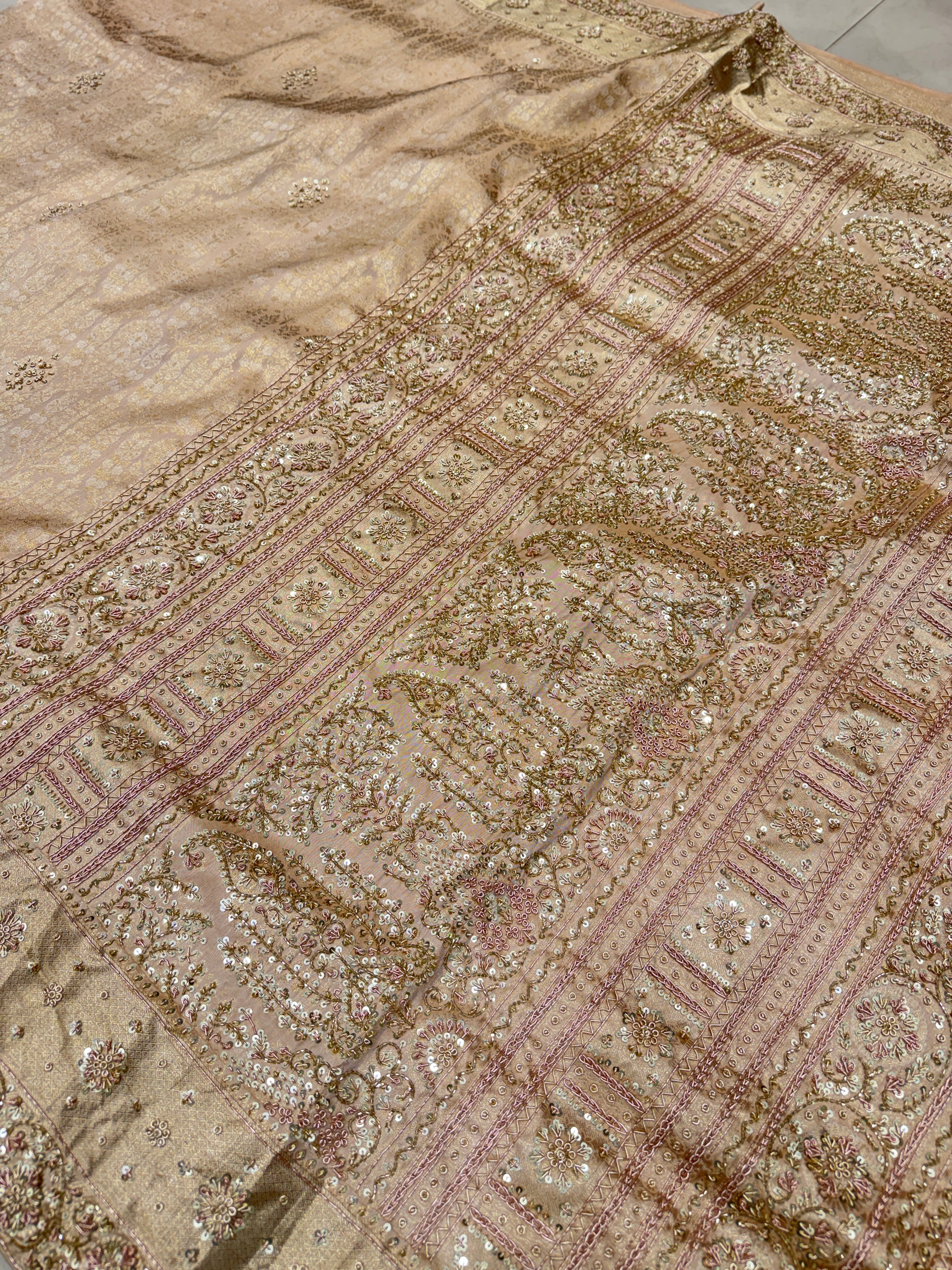 Beige Gold Crown Jaal Kanjivaram Zardosi Hand Embroidery Saree