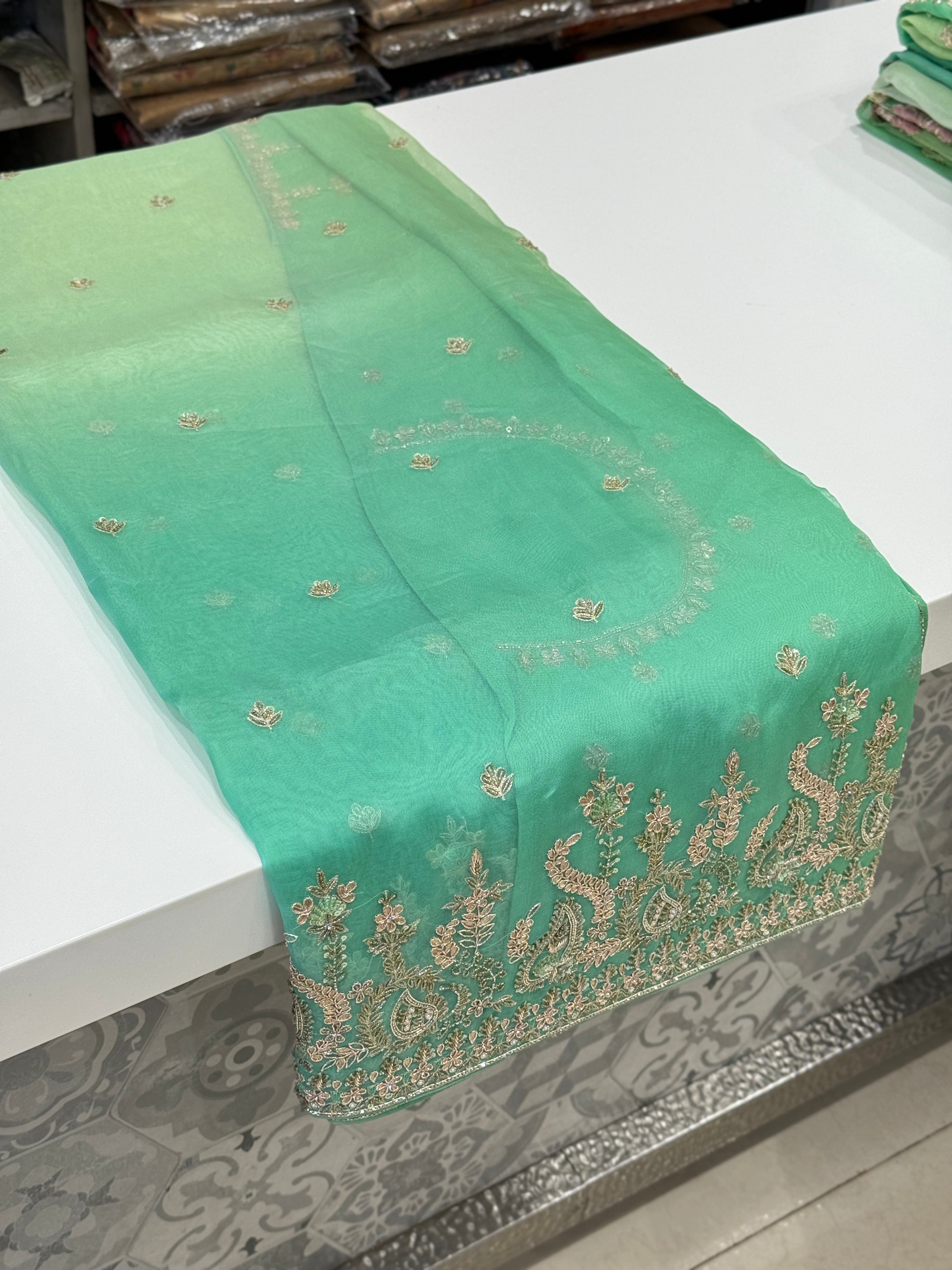 Shaded Organza Pure Hand Embroidery Saree