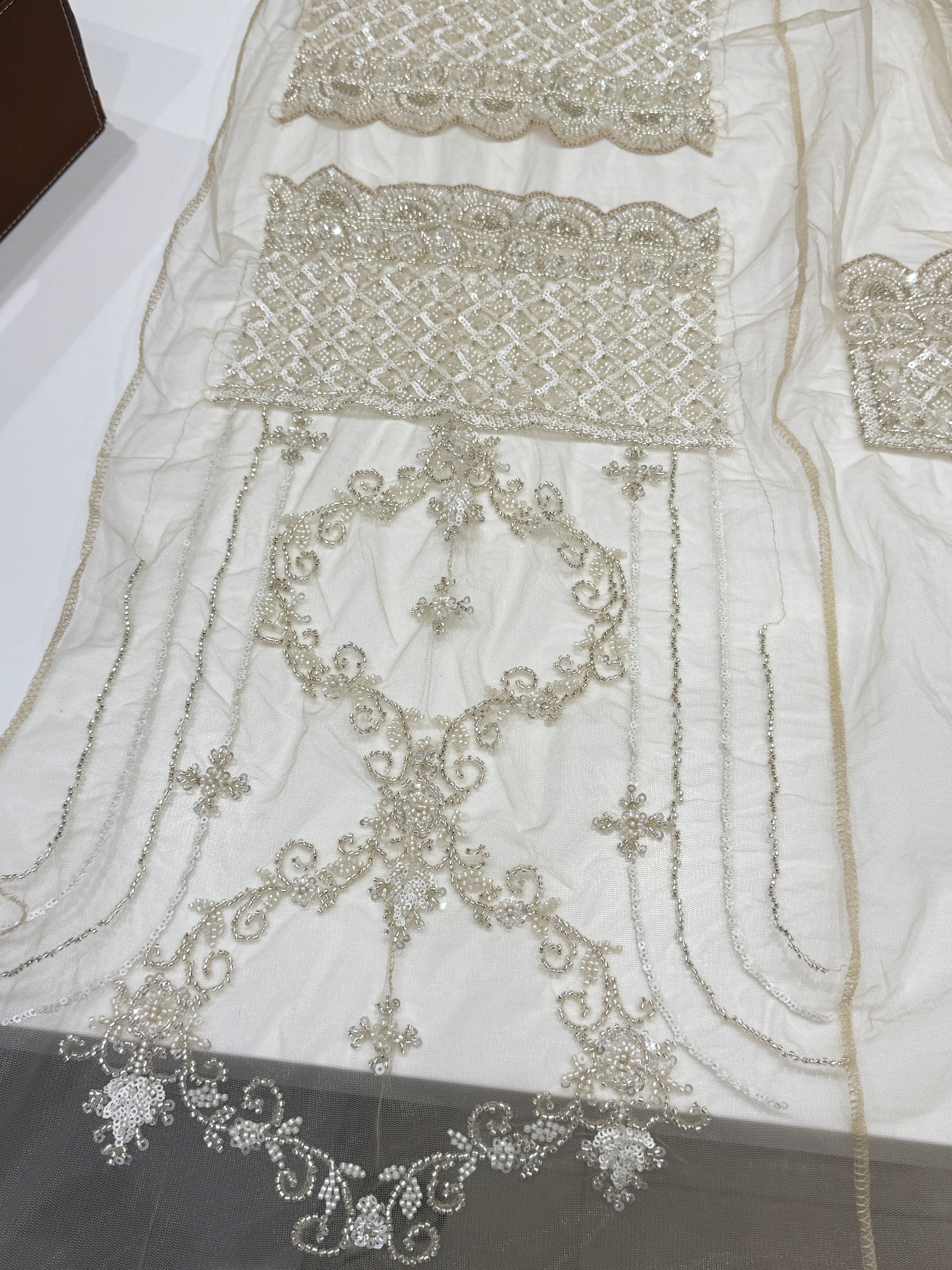 Net Moti Sequin Jaal Embroidery Saree