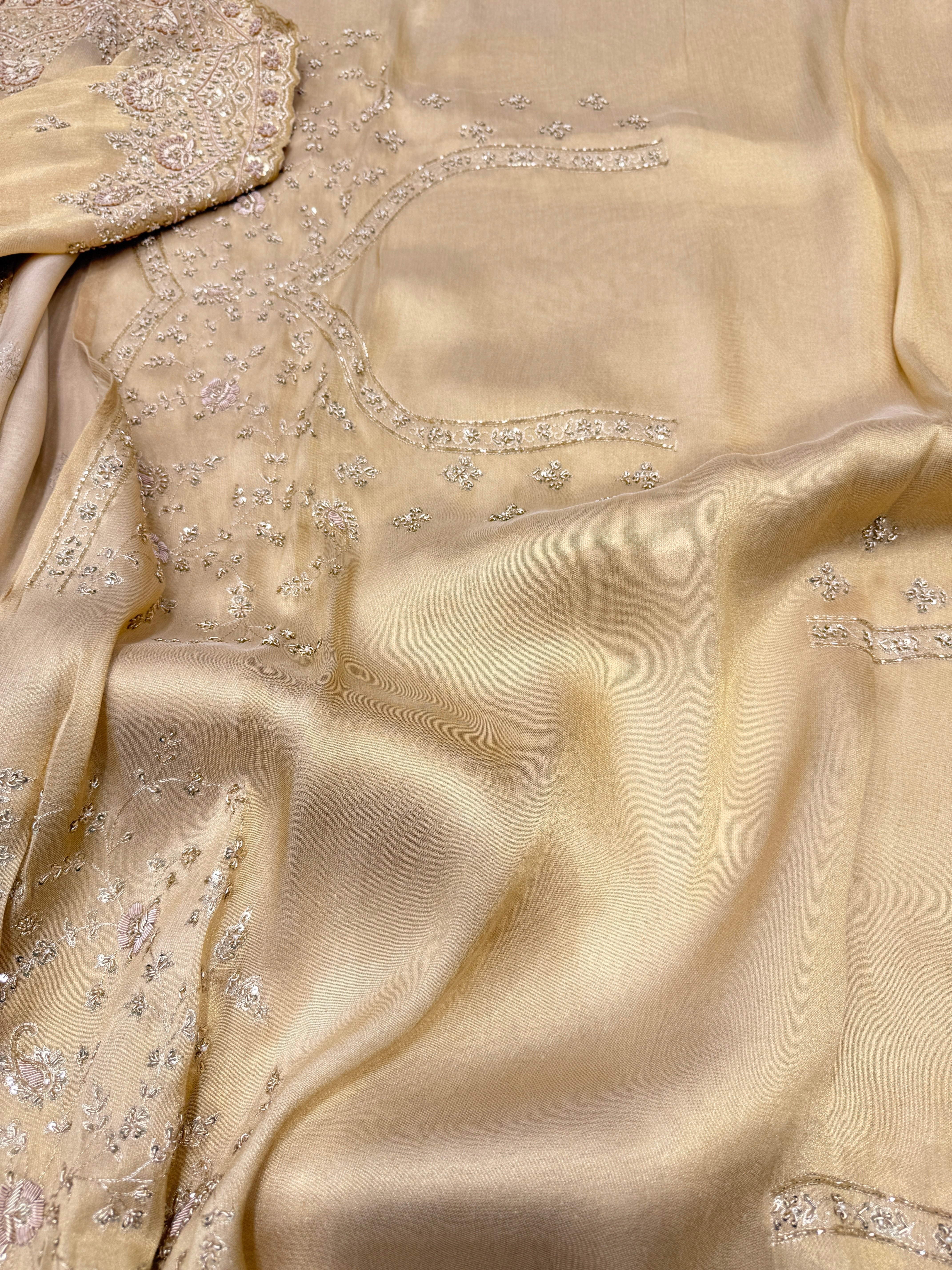 Pure Tissue Zardosi Hand Embroidery Border Saree
