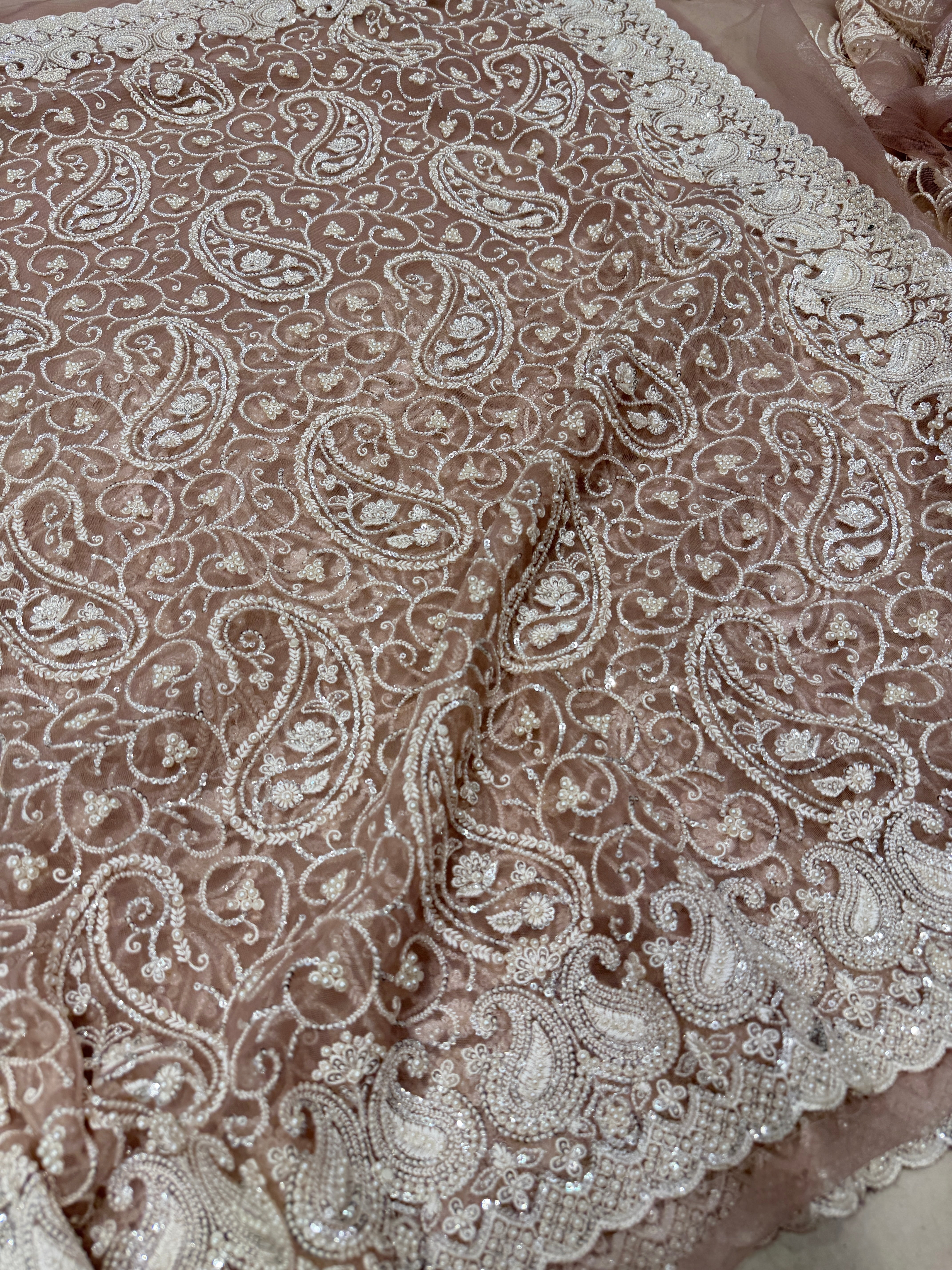 Nude Pink Keri Jaal Net Resham Moti Embroidery Soft Saree