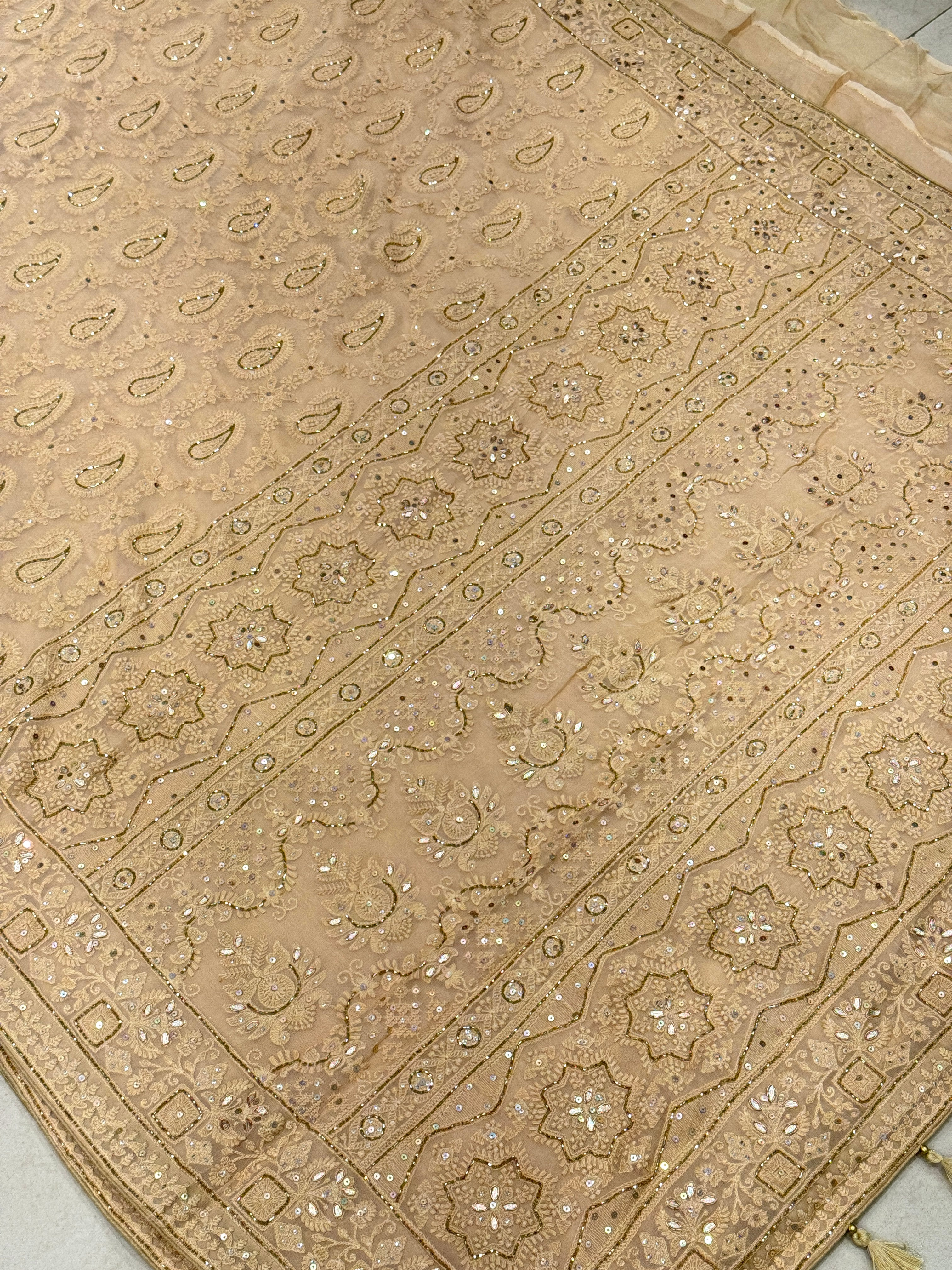 Golden Chikankari on Georgette with Cutdana Hand Embroidery
