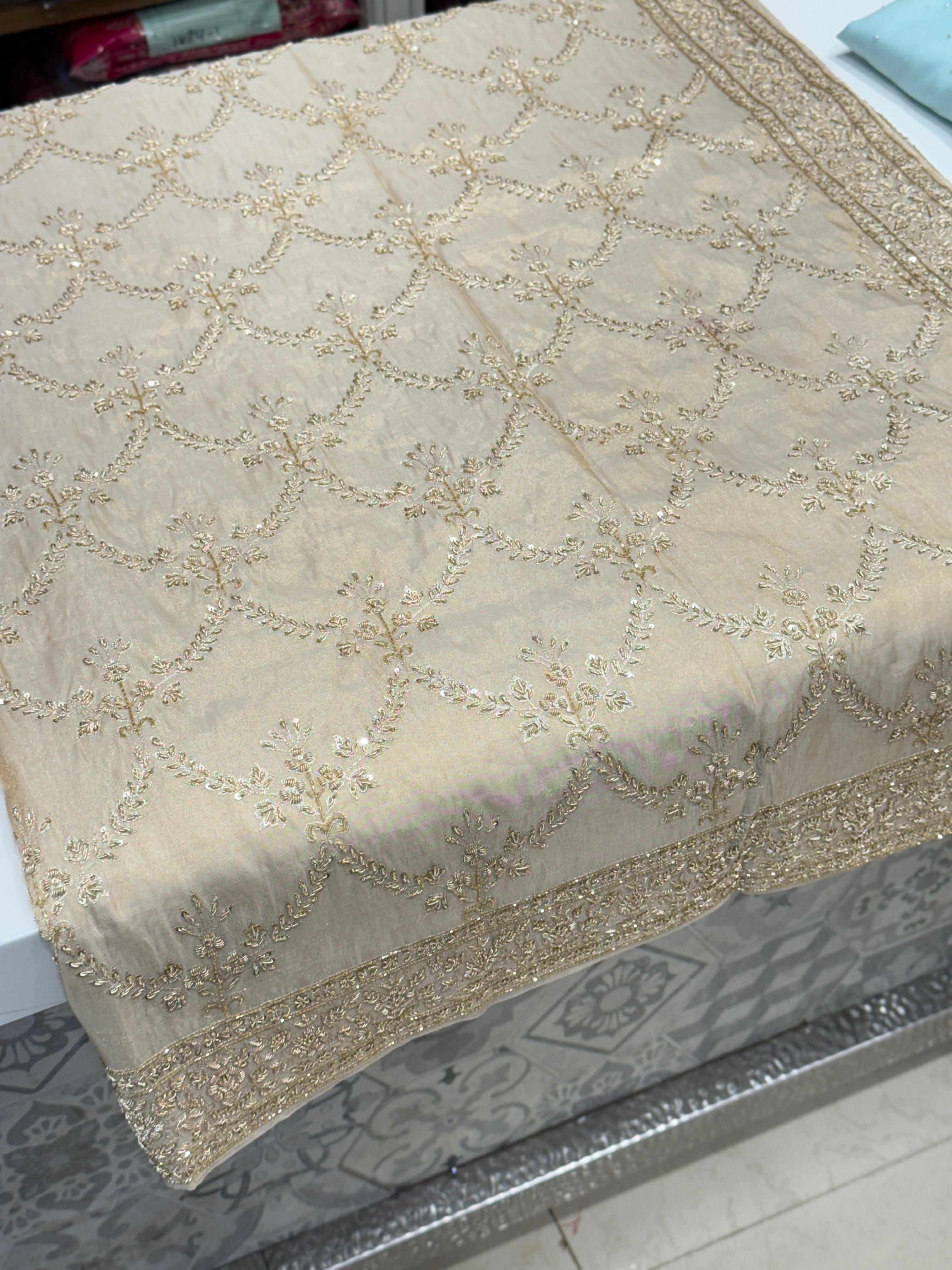 Handloom Tissue Silk Zardosi Hand Embroidery Jaal Saree