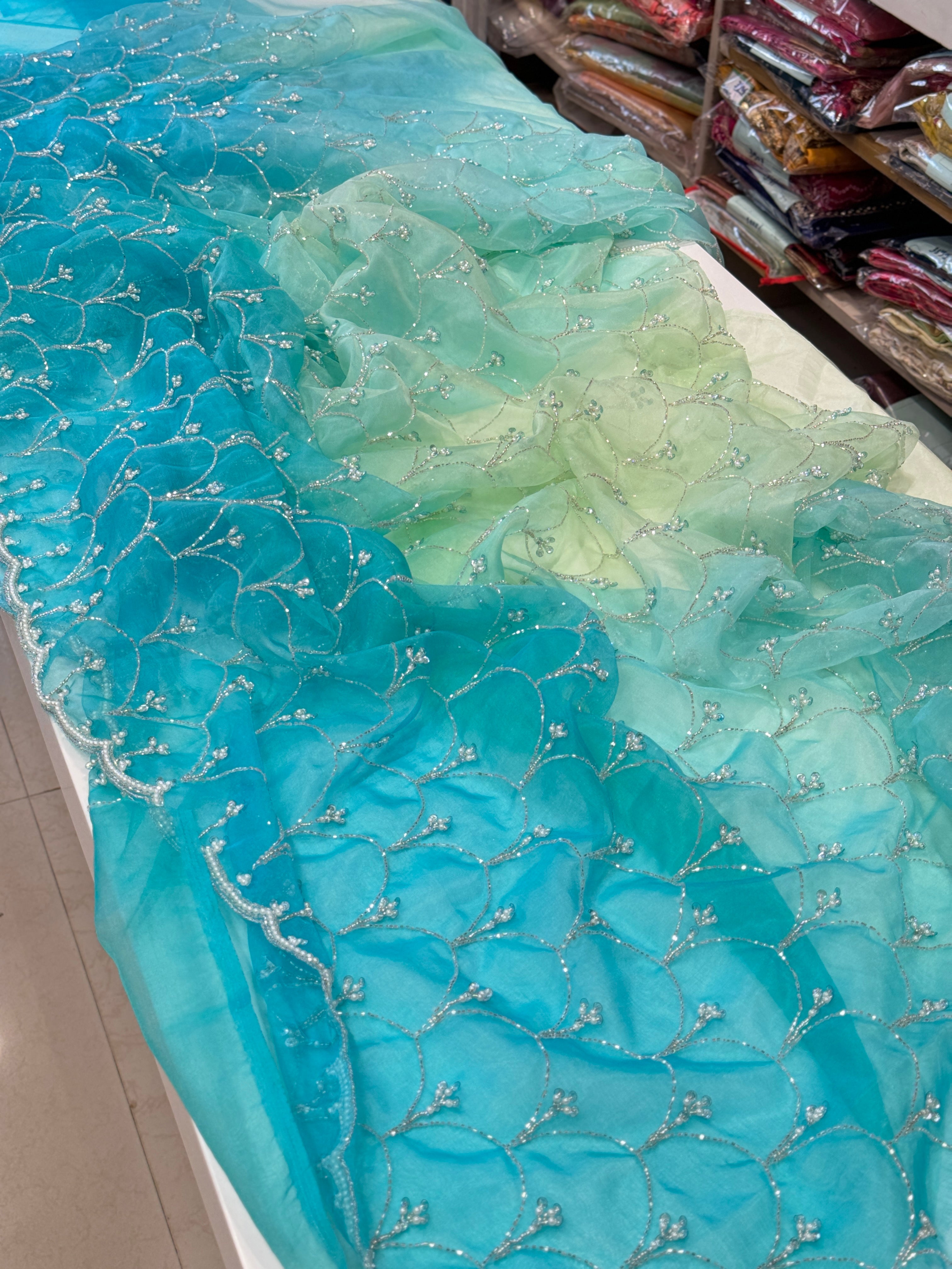 Shaded Blue Organza Moti Sequin Hand Embroidery Saree