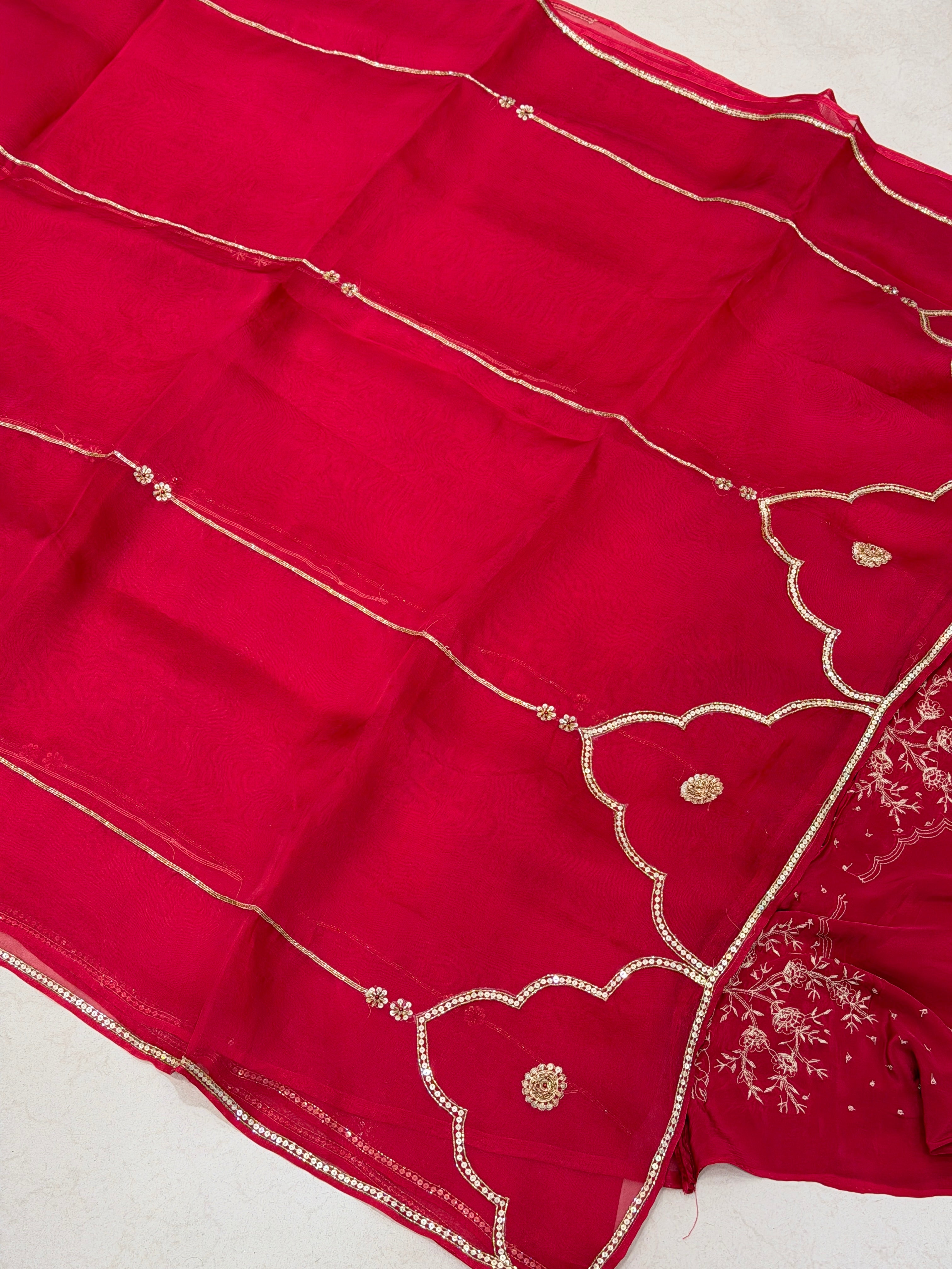 Red Pure Organza Raw Mango Inspired Contemporary Zardodi Moti Sequin Hand Embroidery Saree
