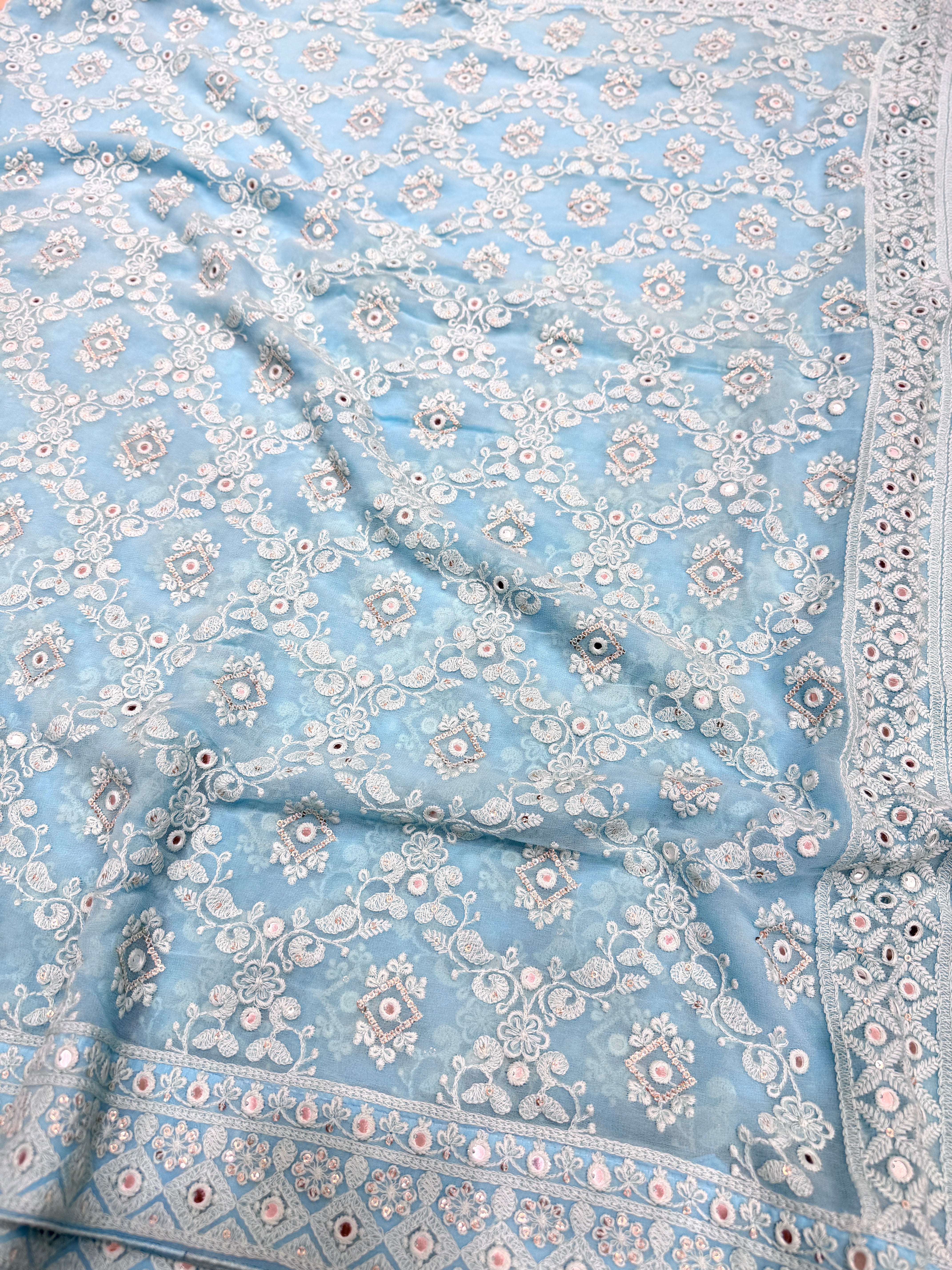 Light Blue Chikankari Jaal Georgette Resham Embroidery Saree
