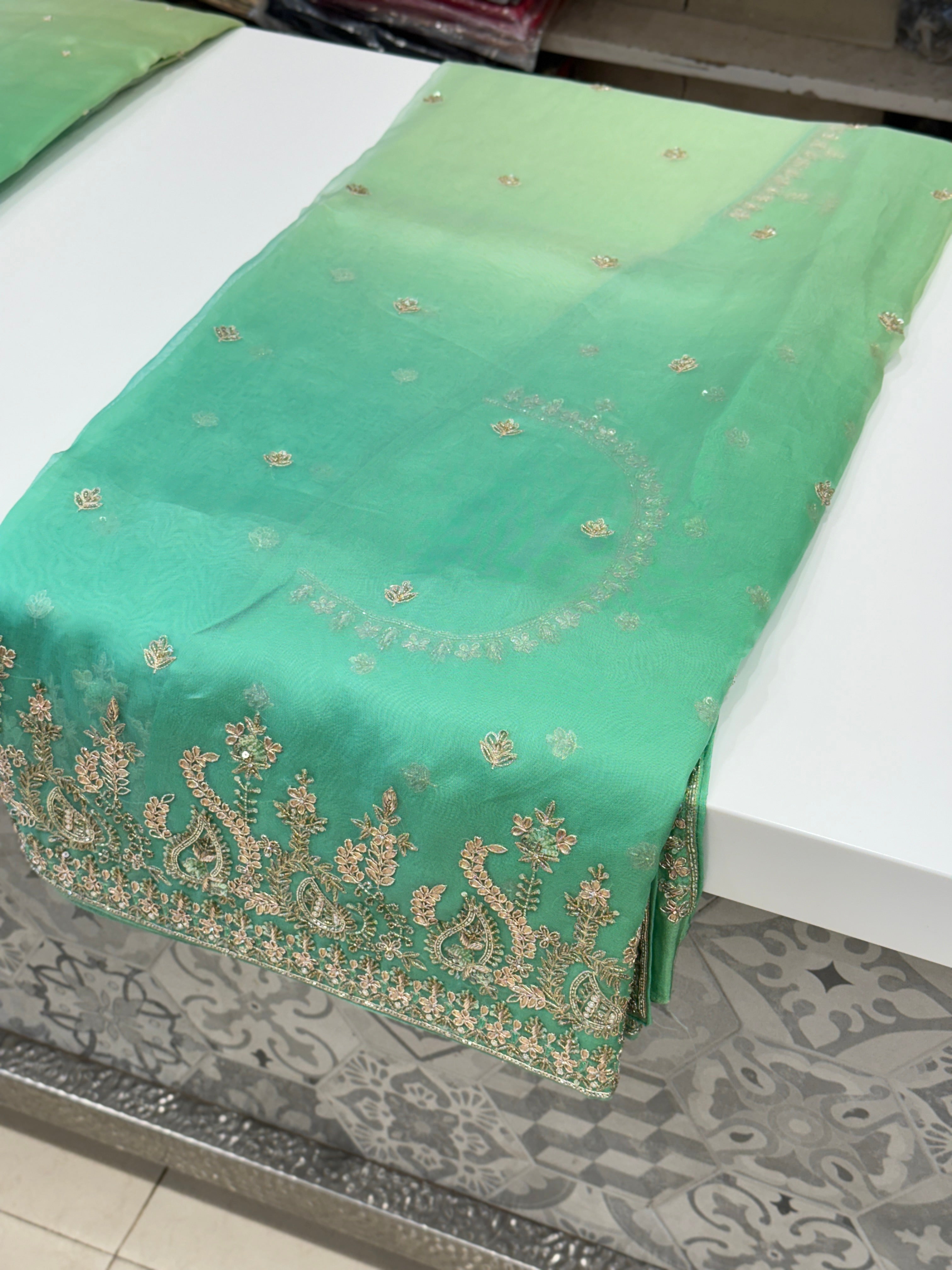 Shaded Organza Pure Hand Embroidery Saree