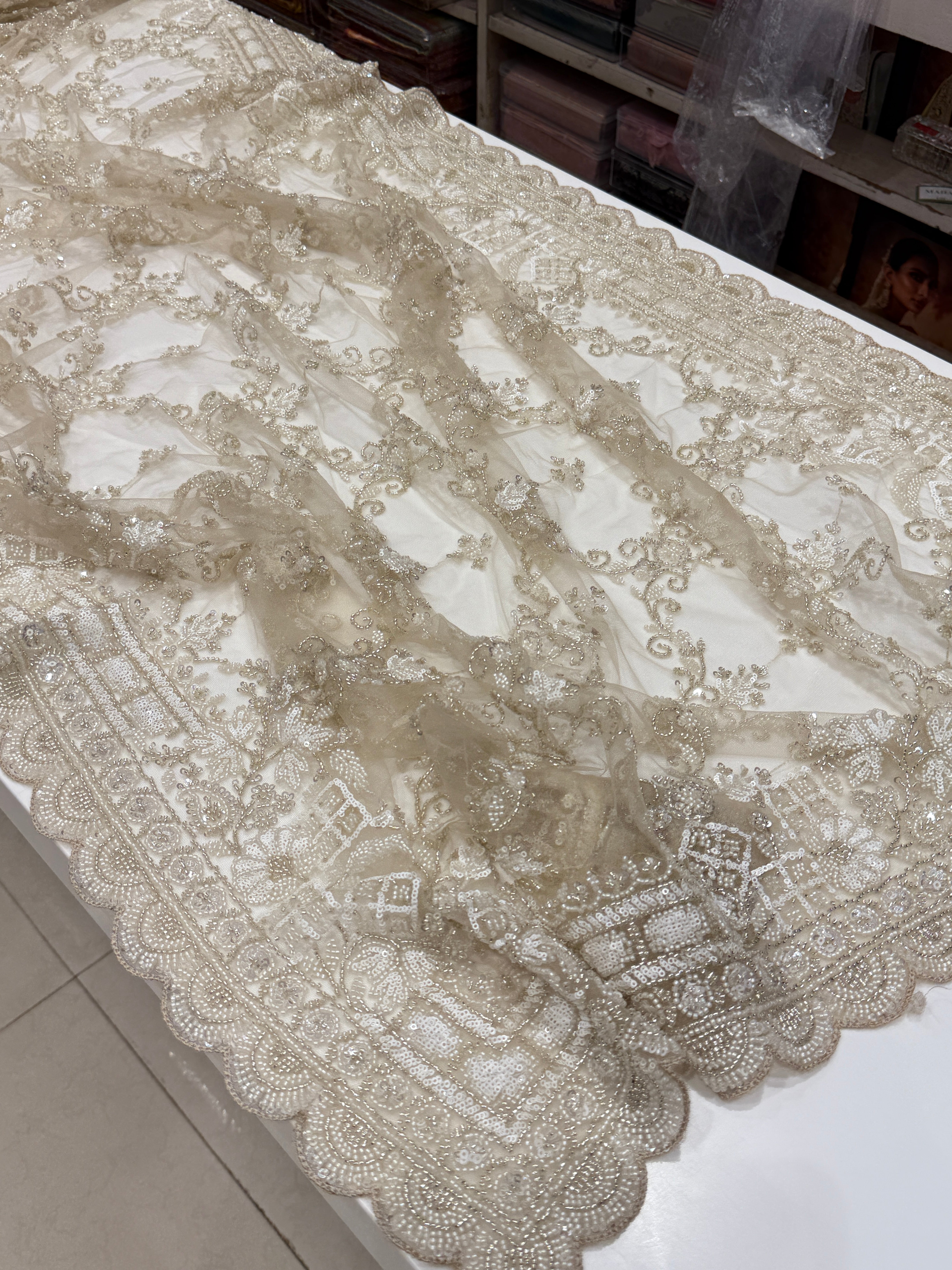 Net Moti Sequin Jaal Embroidery Saree