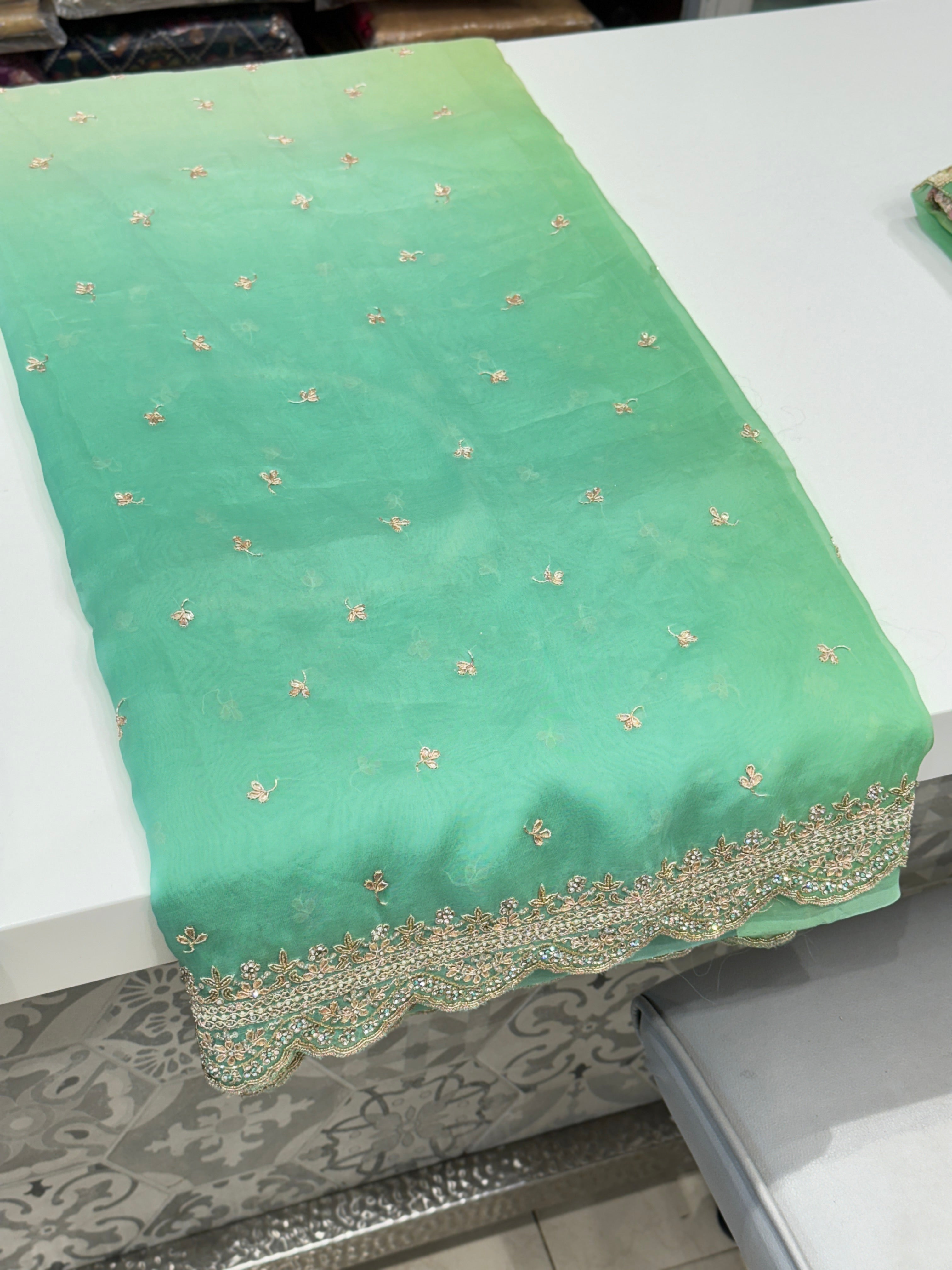 Green Shaded Pure Organza Border Embroidery Saree