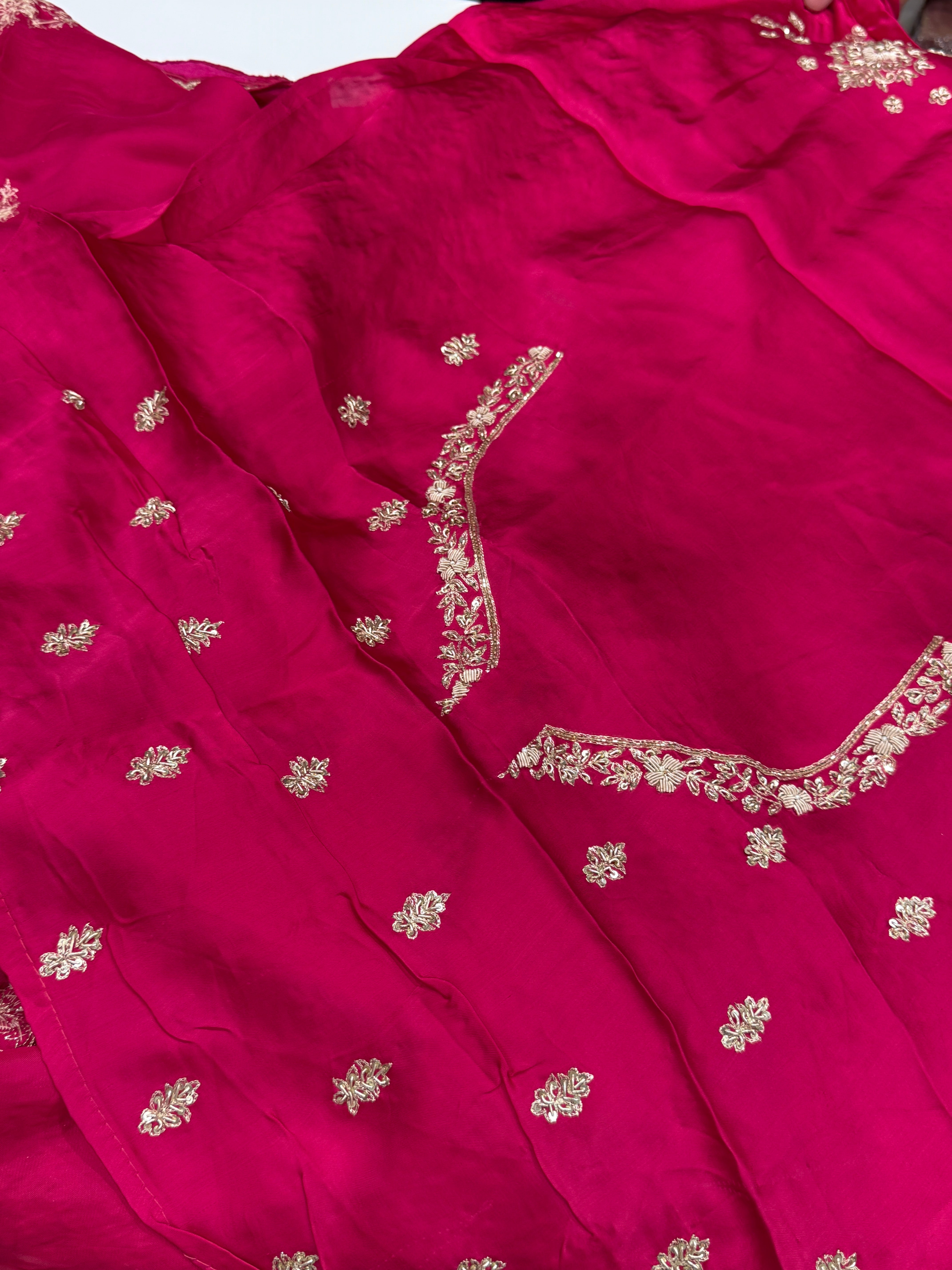 Rani Pink Buttis Satin Hand Embroidery Zardosi Saree