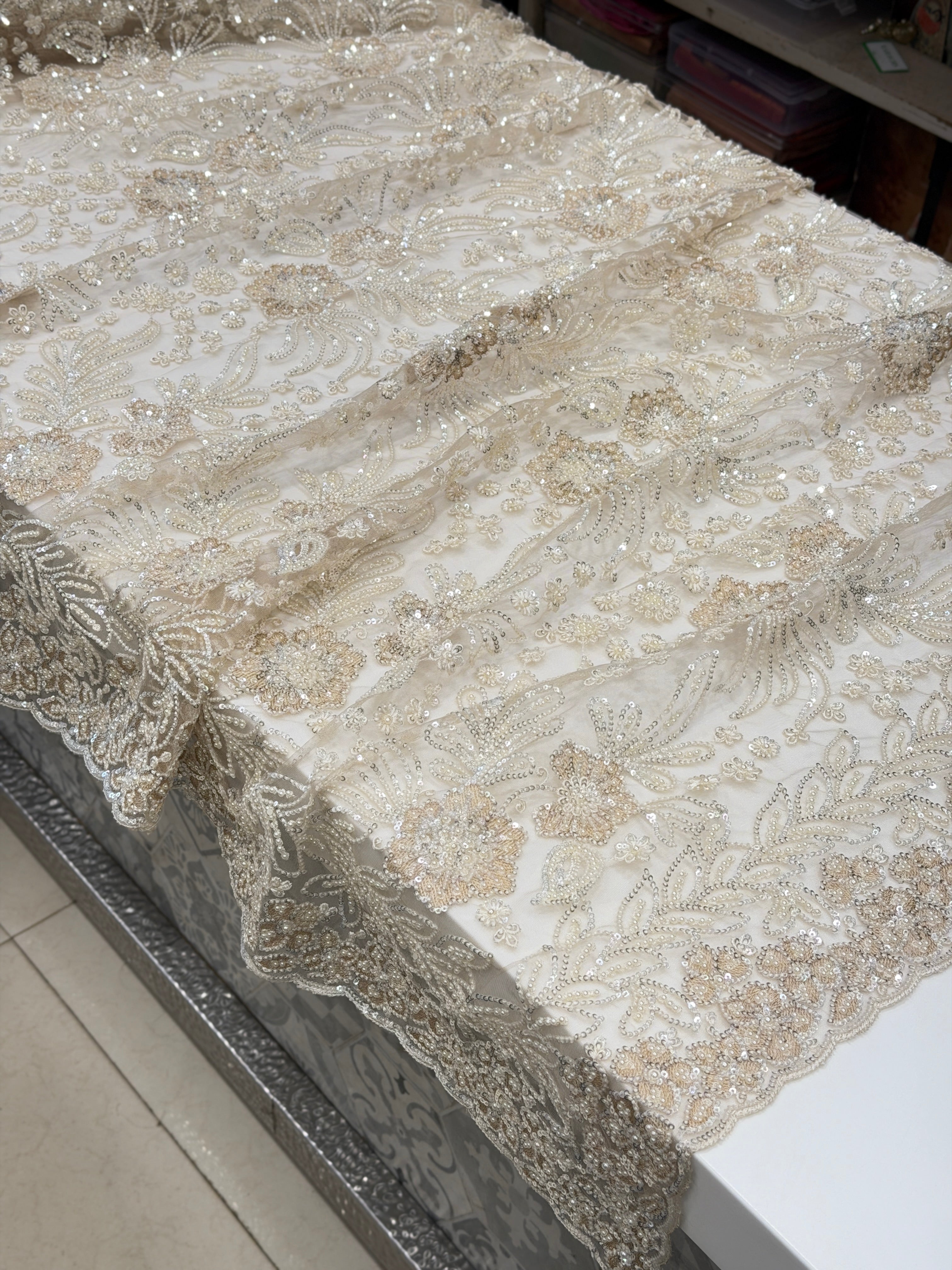 Beige Resham Moti Jaal Net Embroidery Saree Heavy Blouse