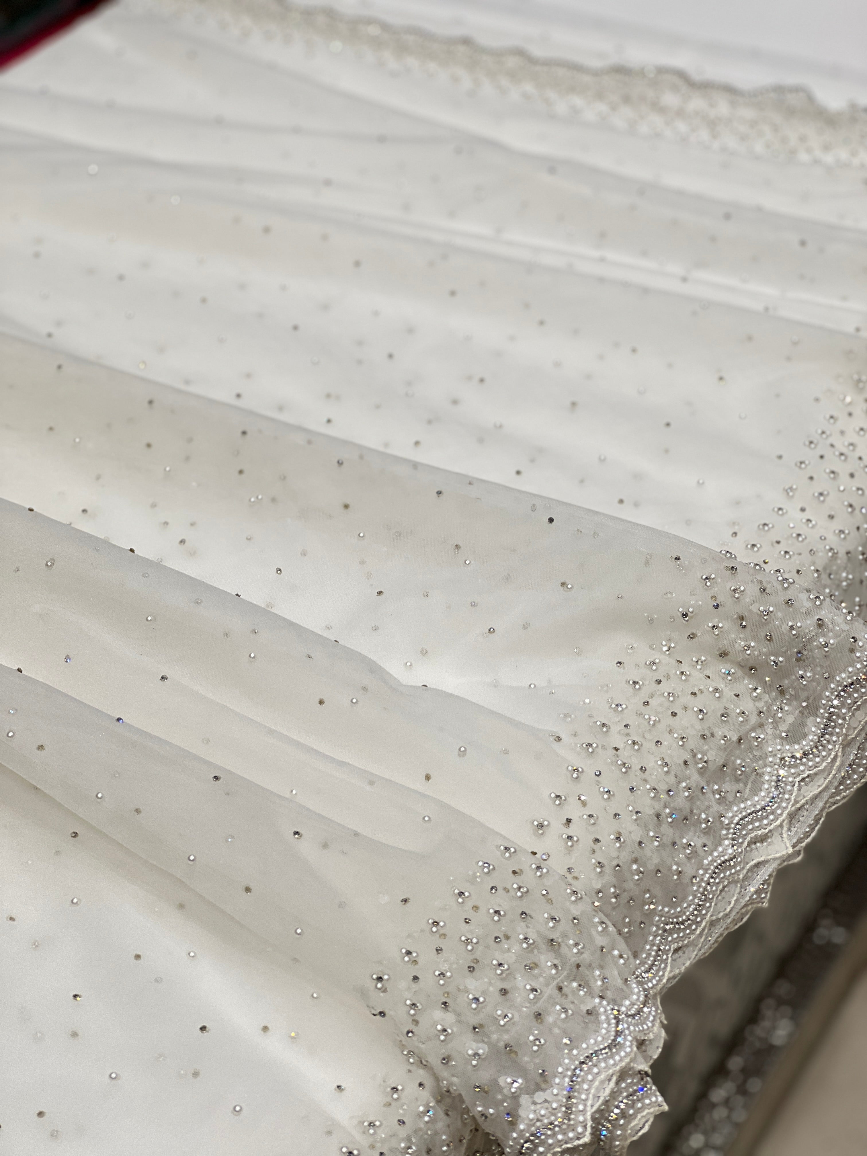 White Organza Moti Embroidery Saree