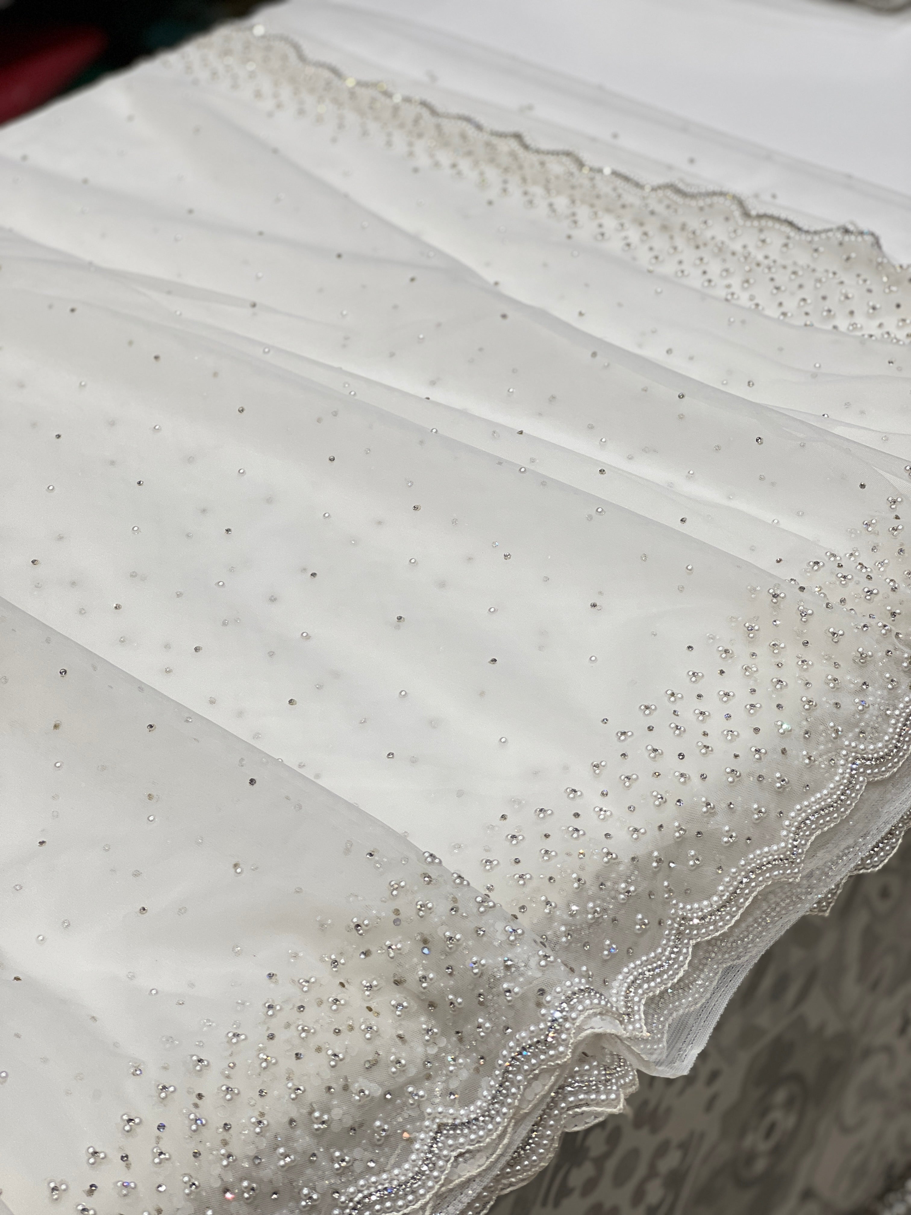 White Organza Moti Embroidery Saree