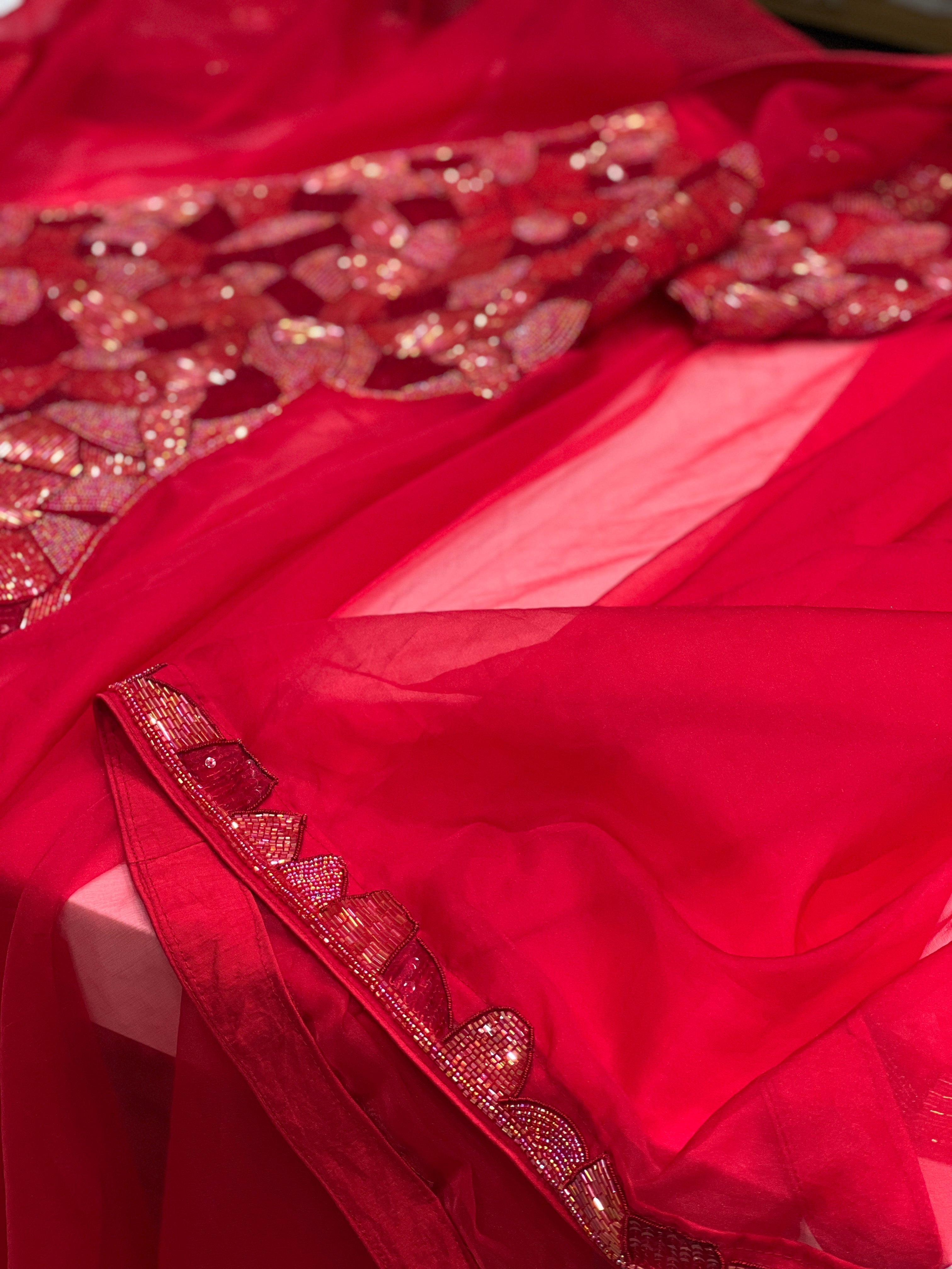 Red Organza Heavy Blouse Hand Embroidery Saree