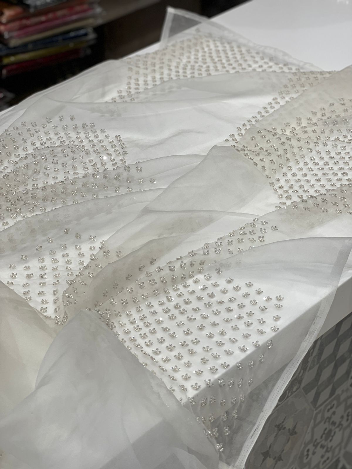 White Organza Moti Salli Hand Embroidery Saree