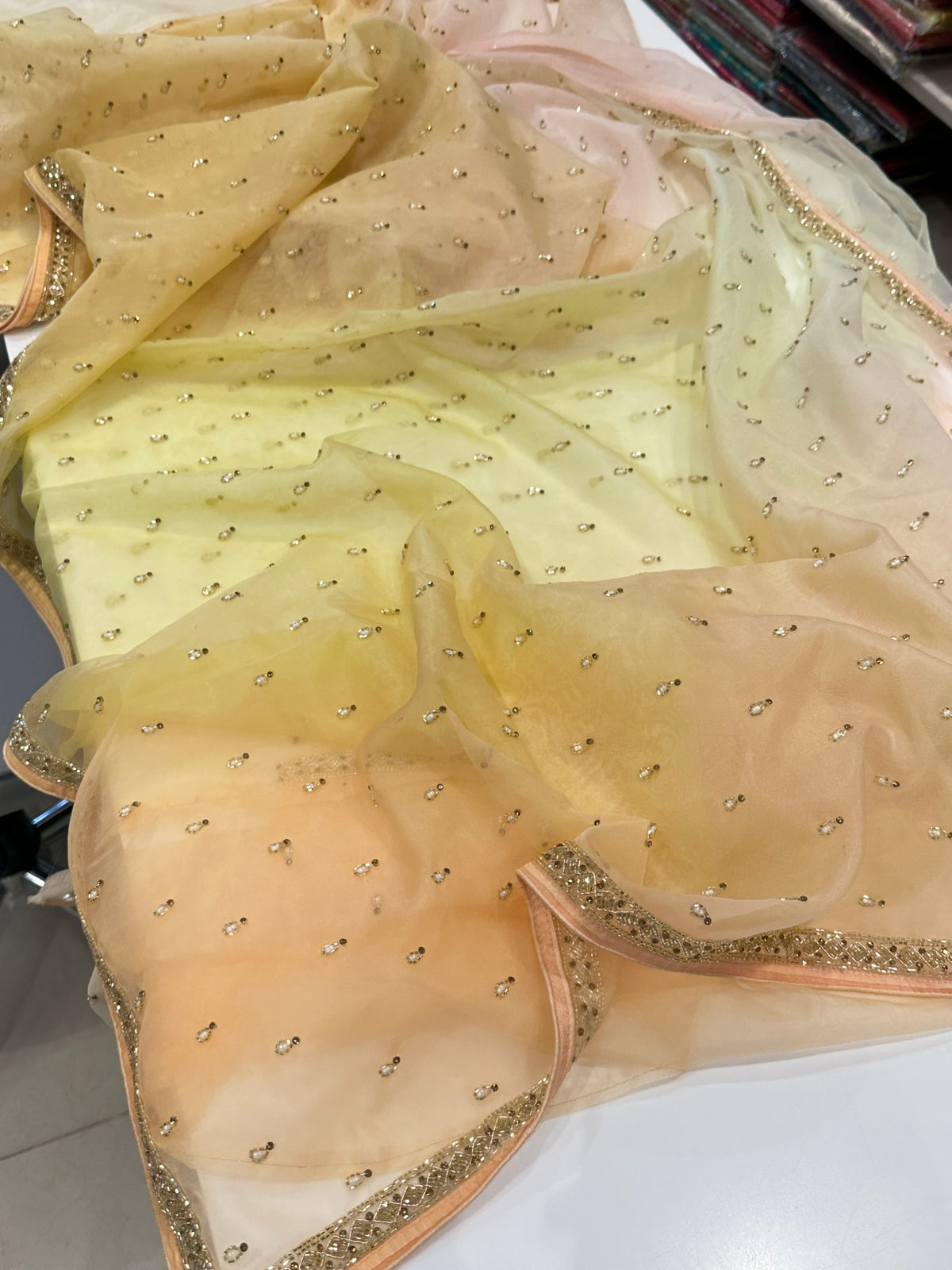 Shaded Organza Saree Hand Embroidery Buttis