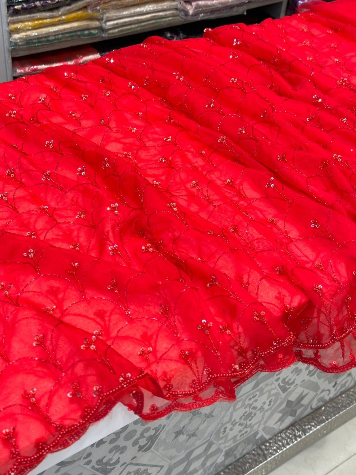 Red on Red Moti Sequin Hand Embroidery Organza Saree