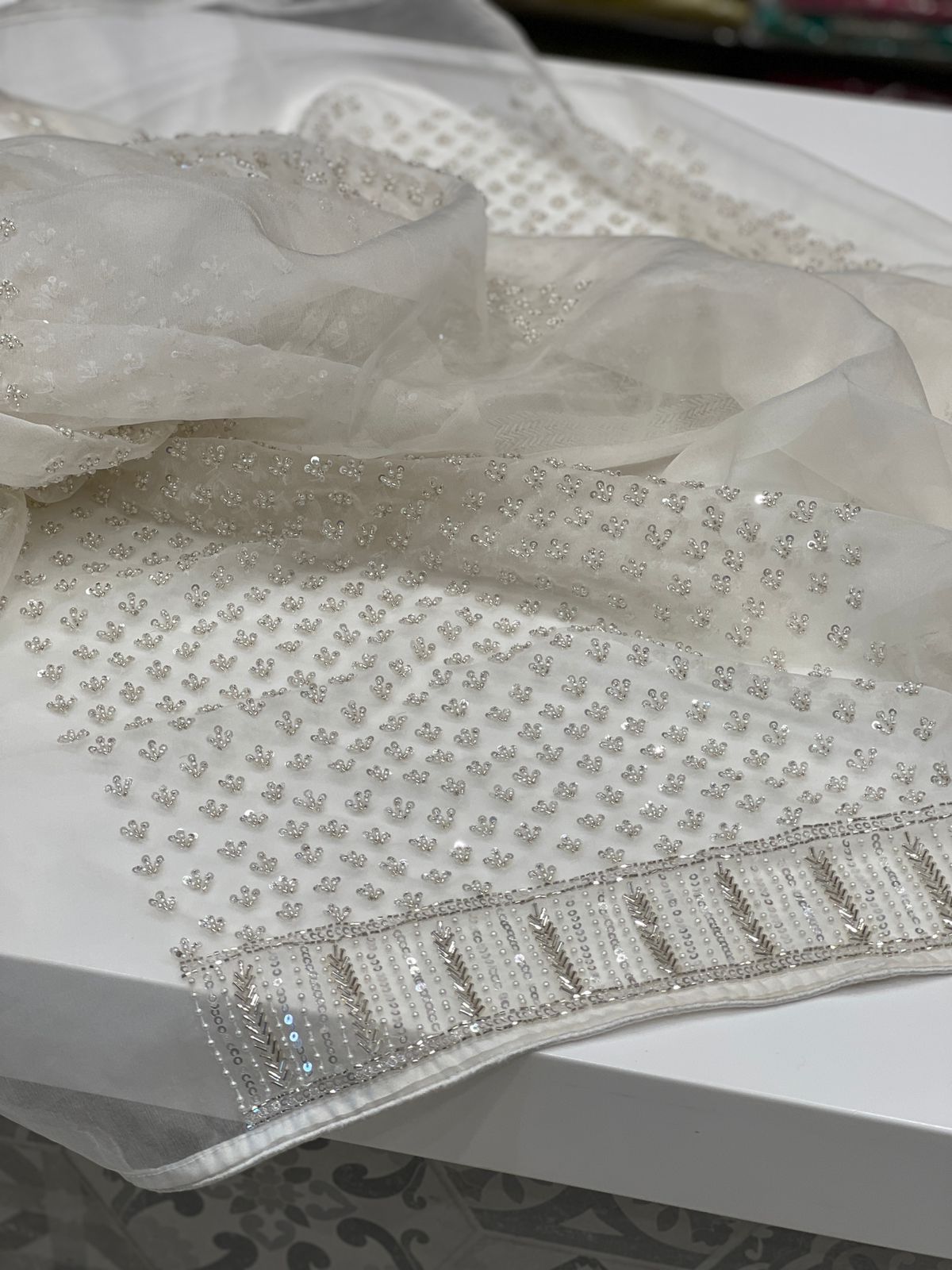 White Organza Moti Salli Hand Embroidery Saree