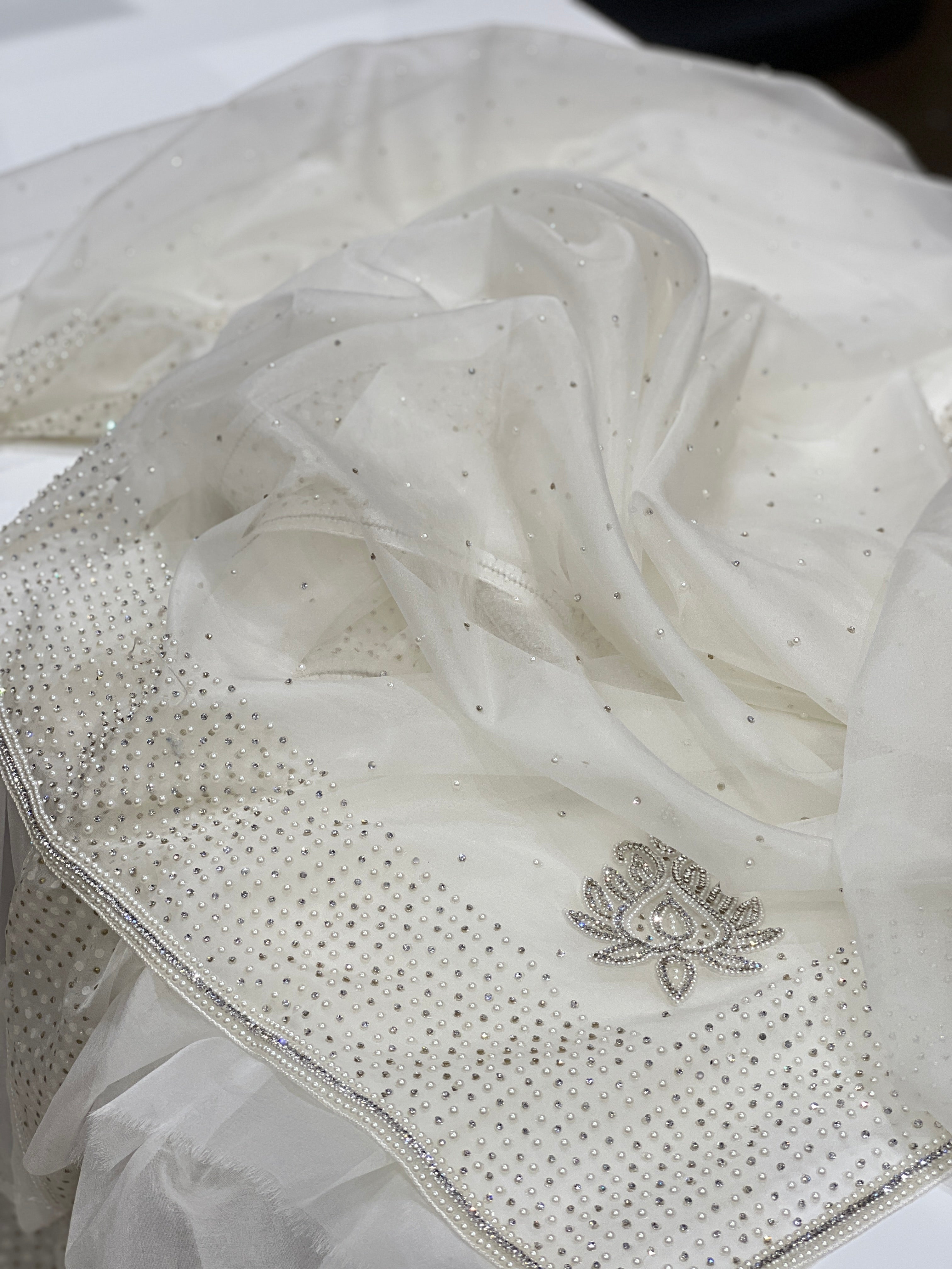 Organza White Hand Embroidery Moti and Stones Saree