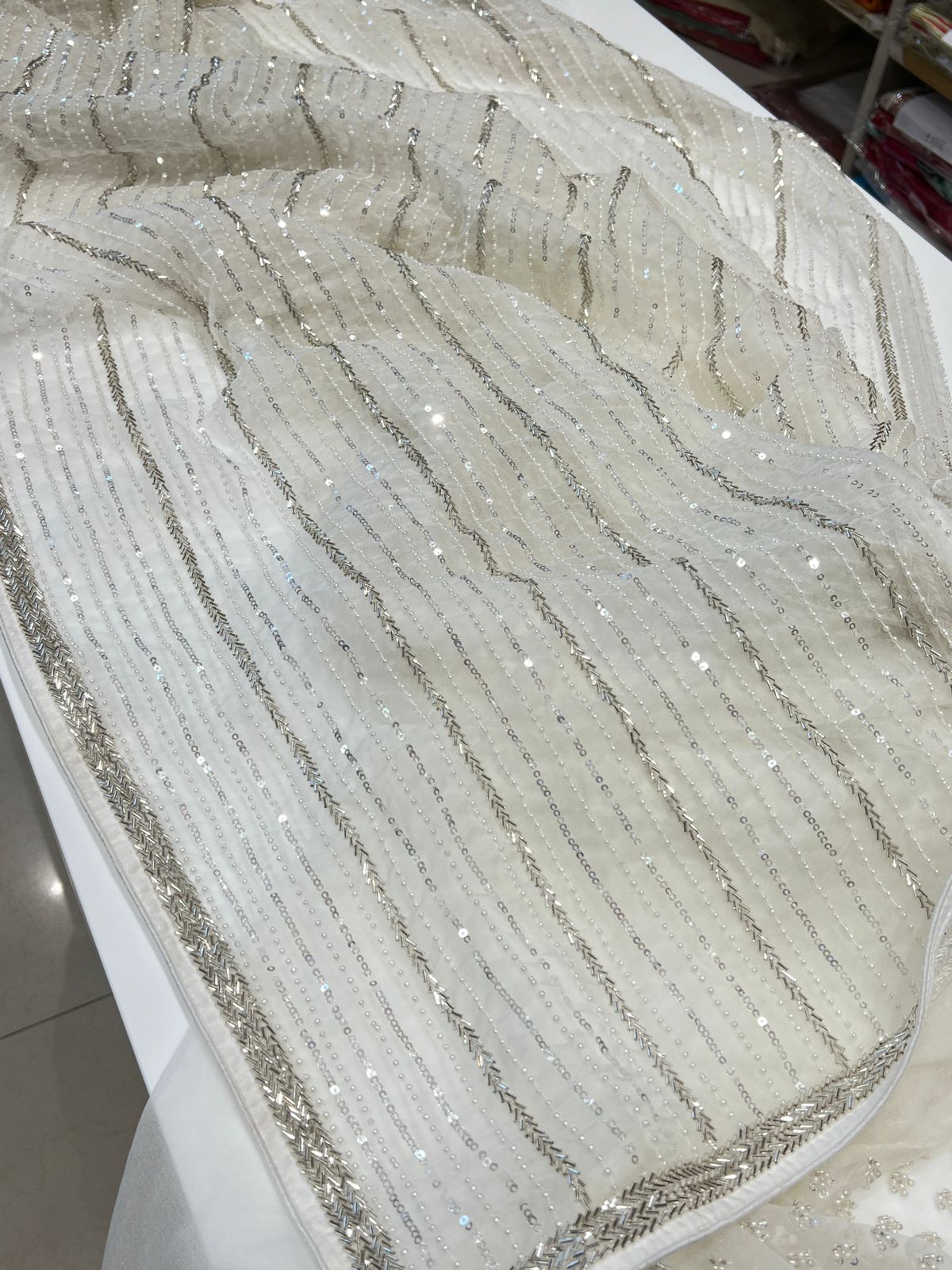White Organza Moti Salli Hand Embroidery Saree
