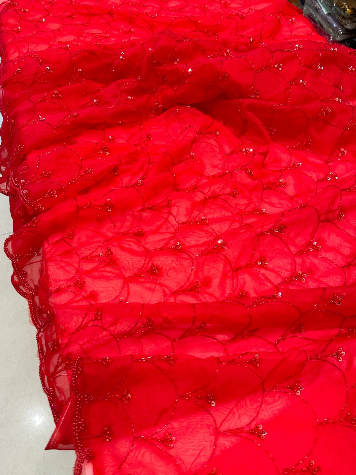 Red on Red Moti Sequin Hand Embroidery Organza Saree