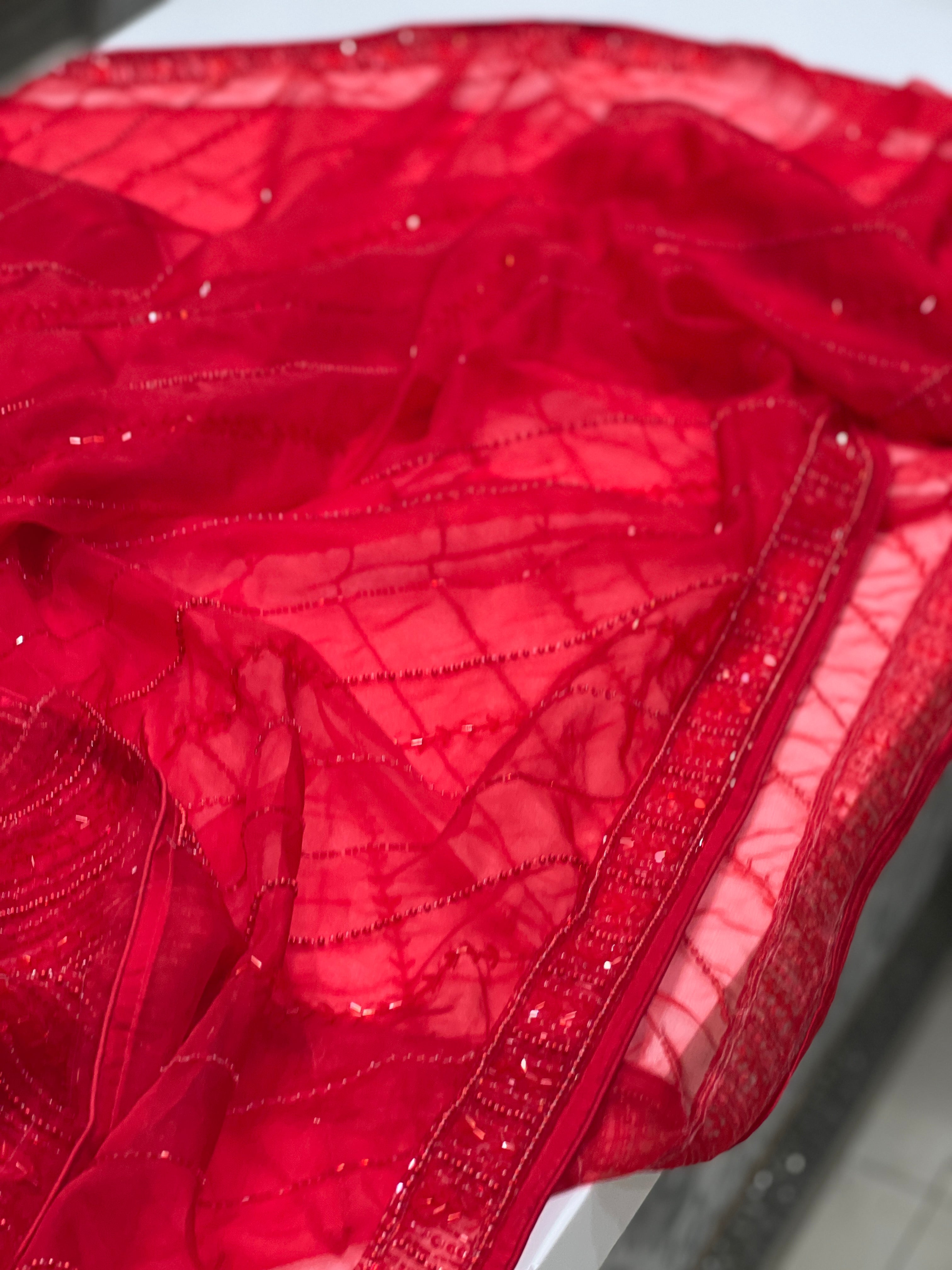 Red Organza Leheriya Hand Embroidery Saree