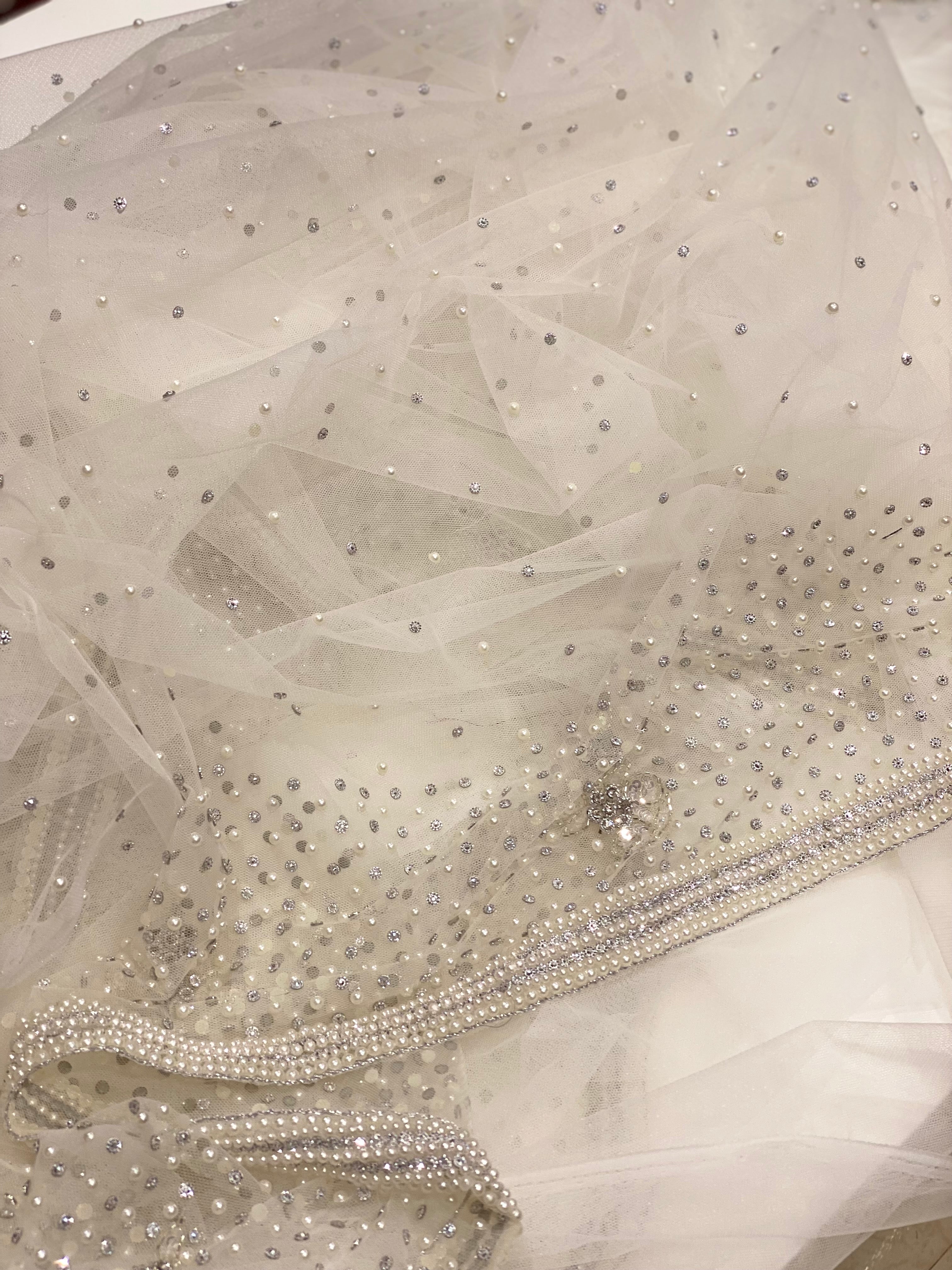 Moti White Hand Embroidery Net Saree