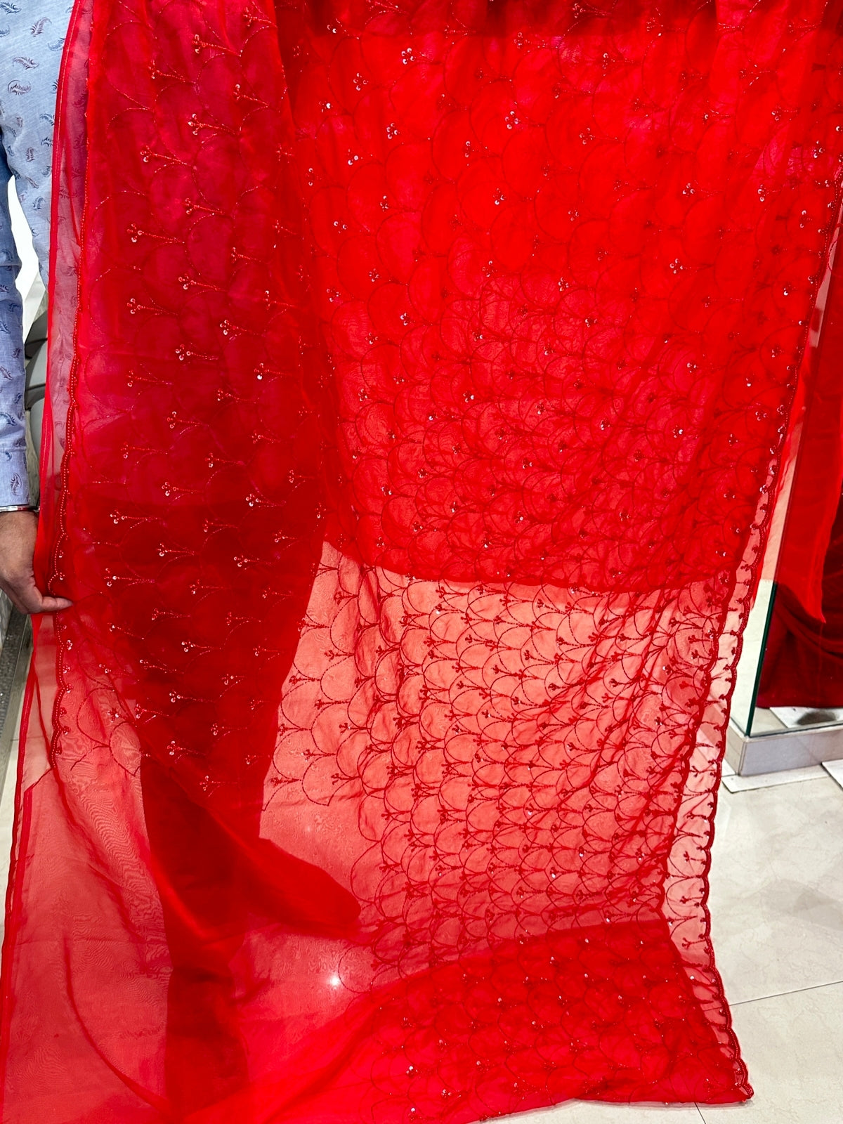 Red on Red Moti Sequin Hand Embroidery Organza Saree