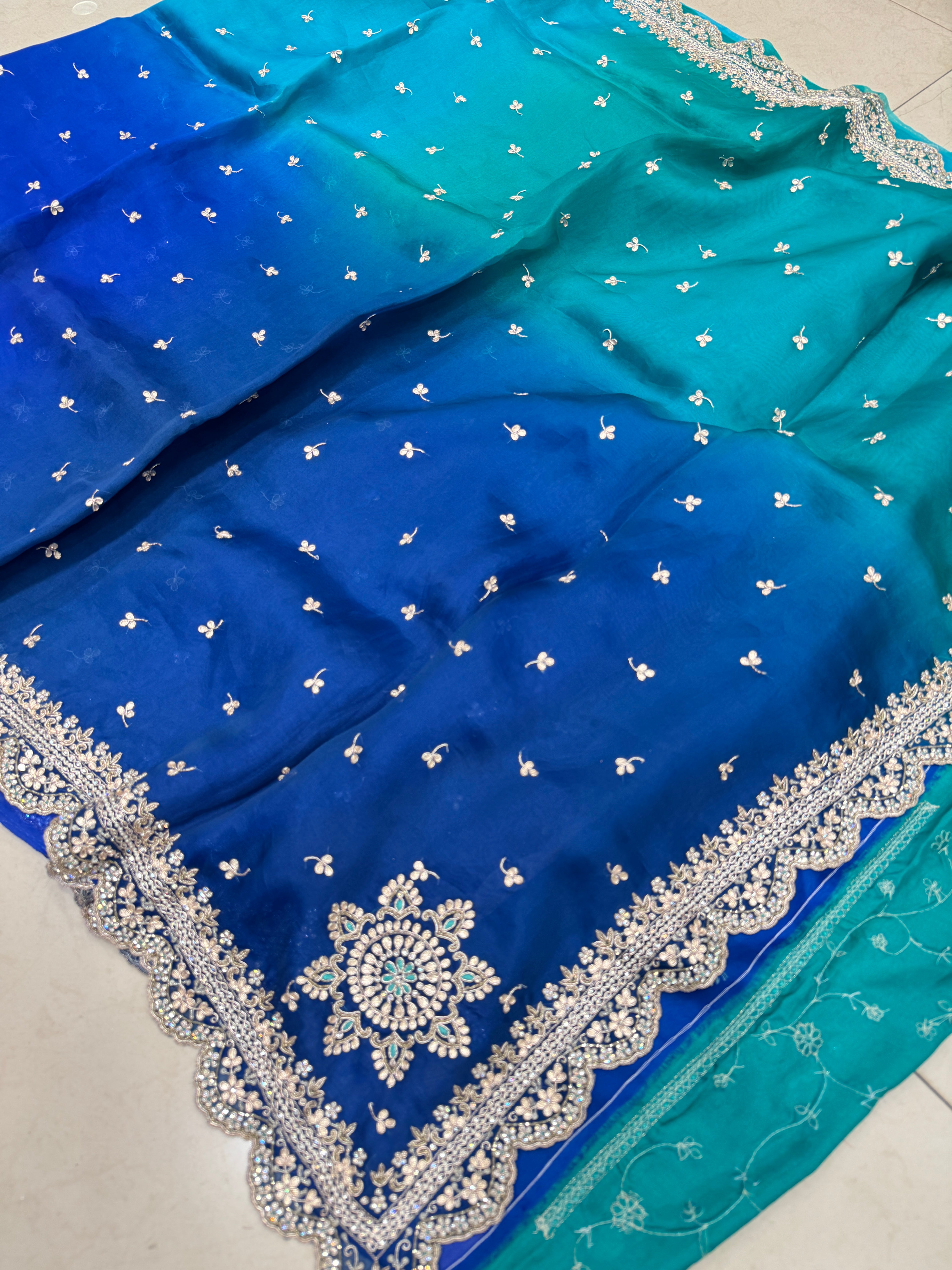 Shaded Pure Organza Hand Embroidery Saree