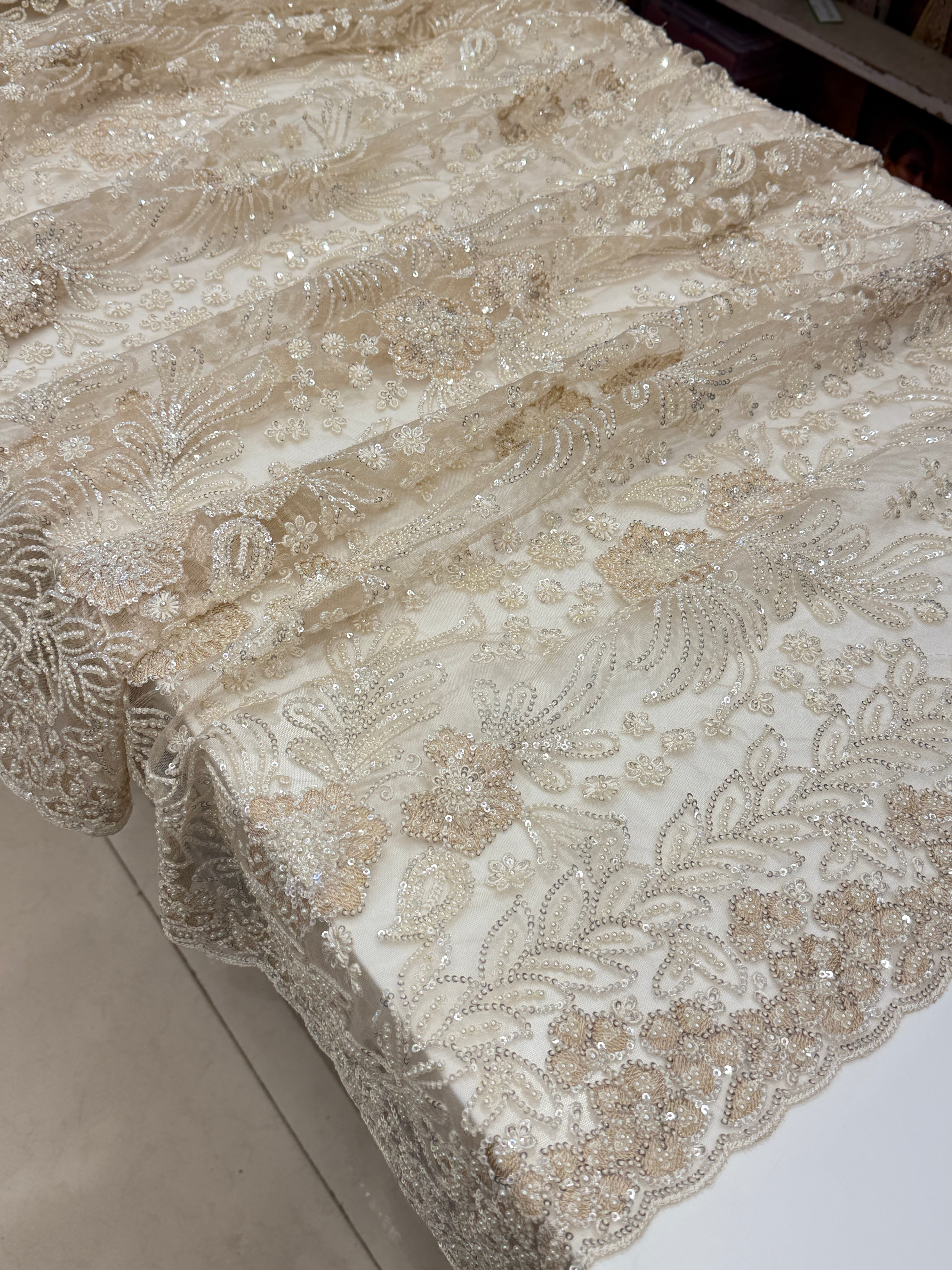 Beige Resham Moti Jaal Net Embroidery Saree Heavy Blouse