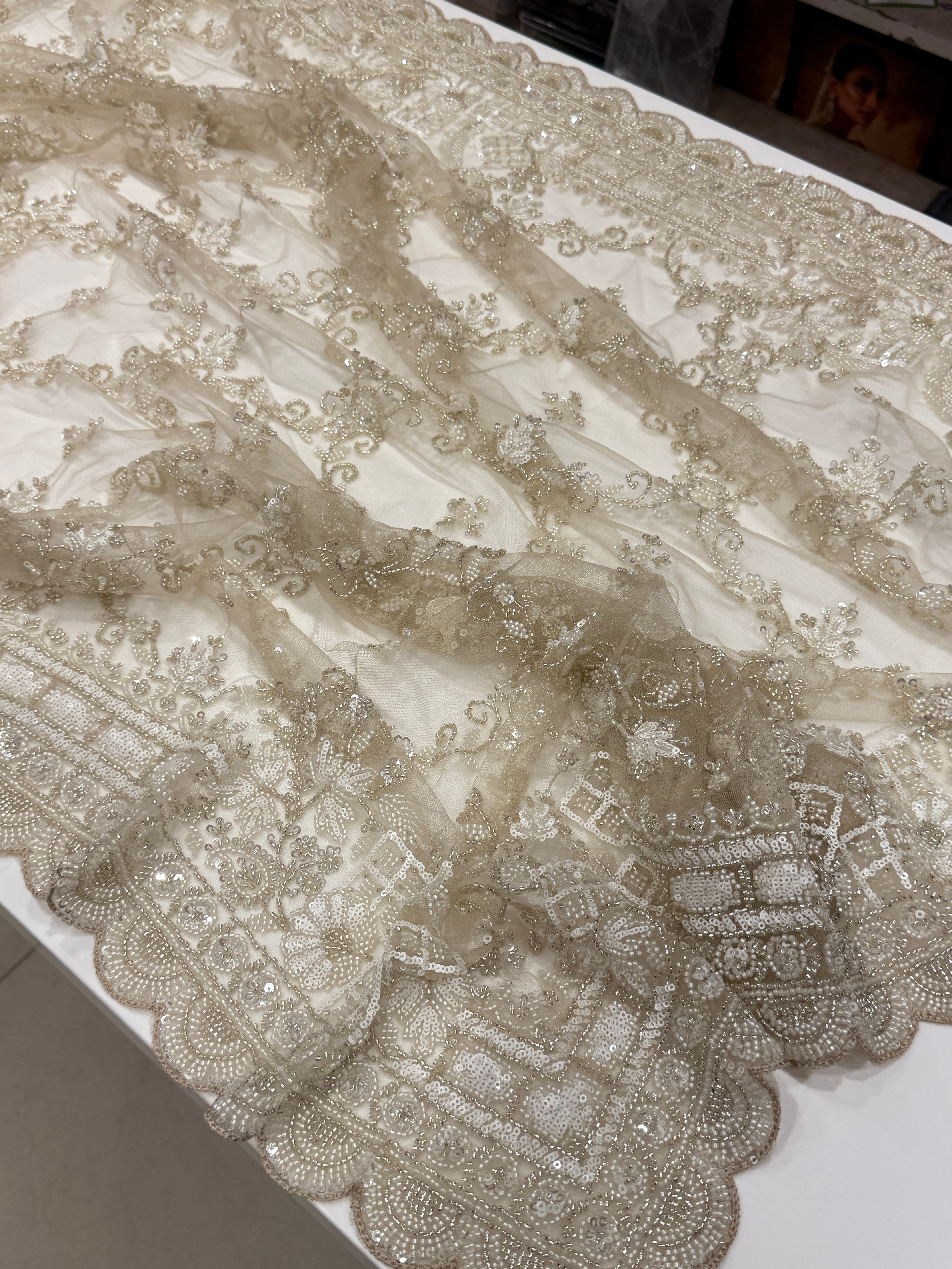 Net Moti Sequin Jaal Embroidery Saree