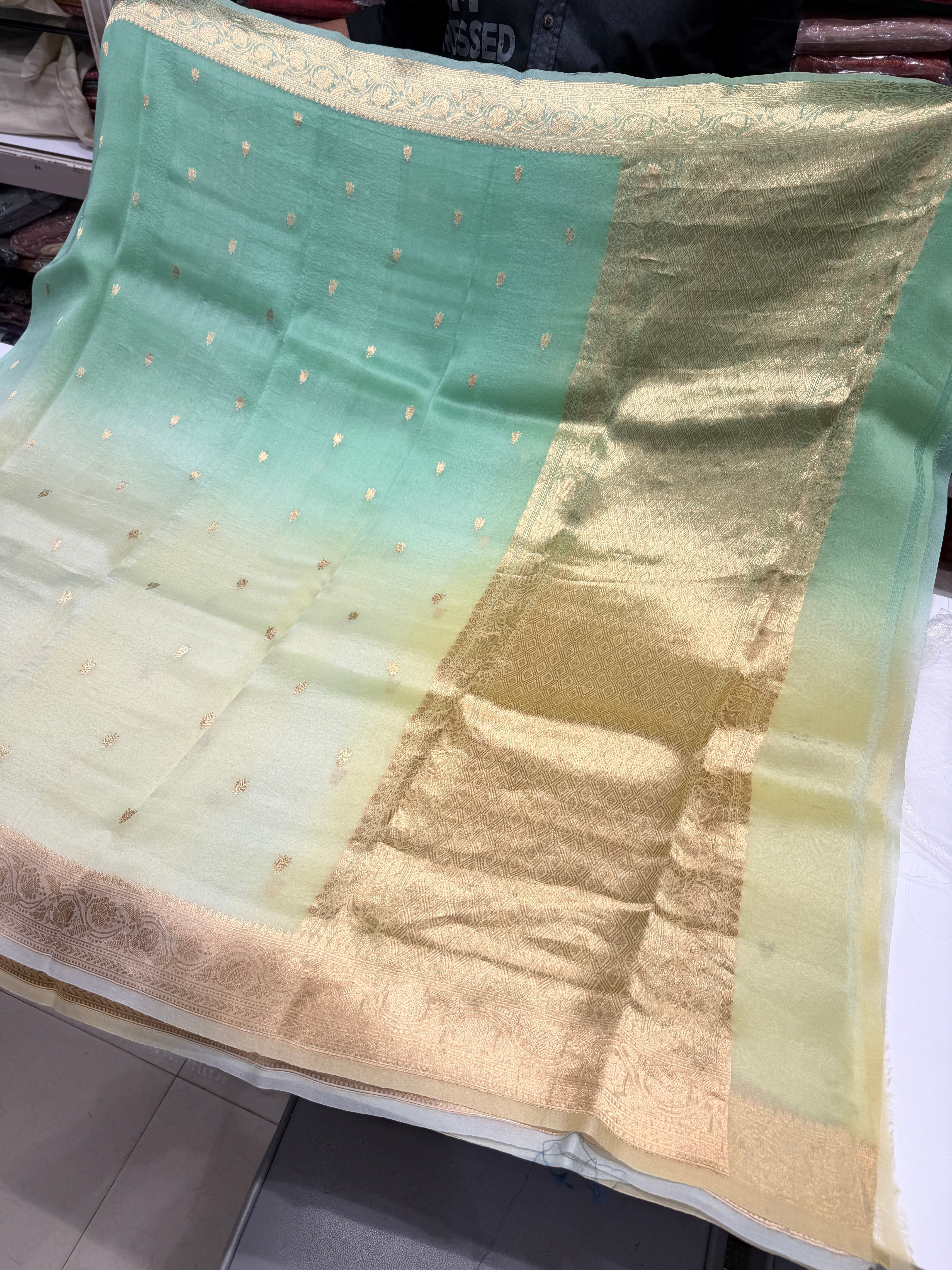 Green Shaded Banarasi Handloom Kora Saree