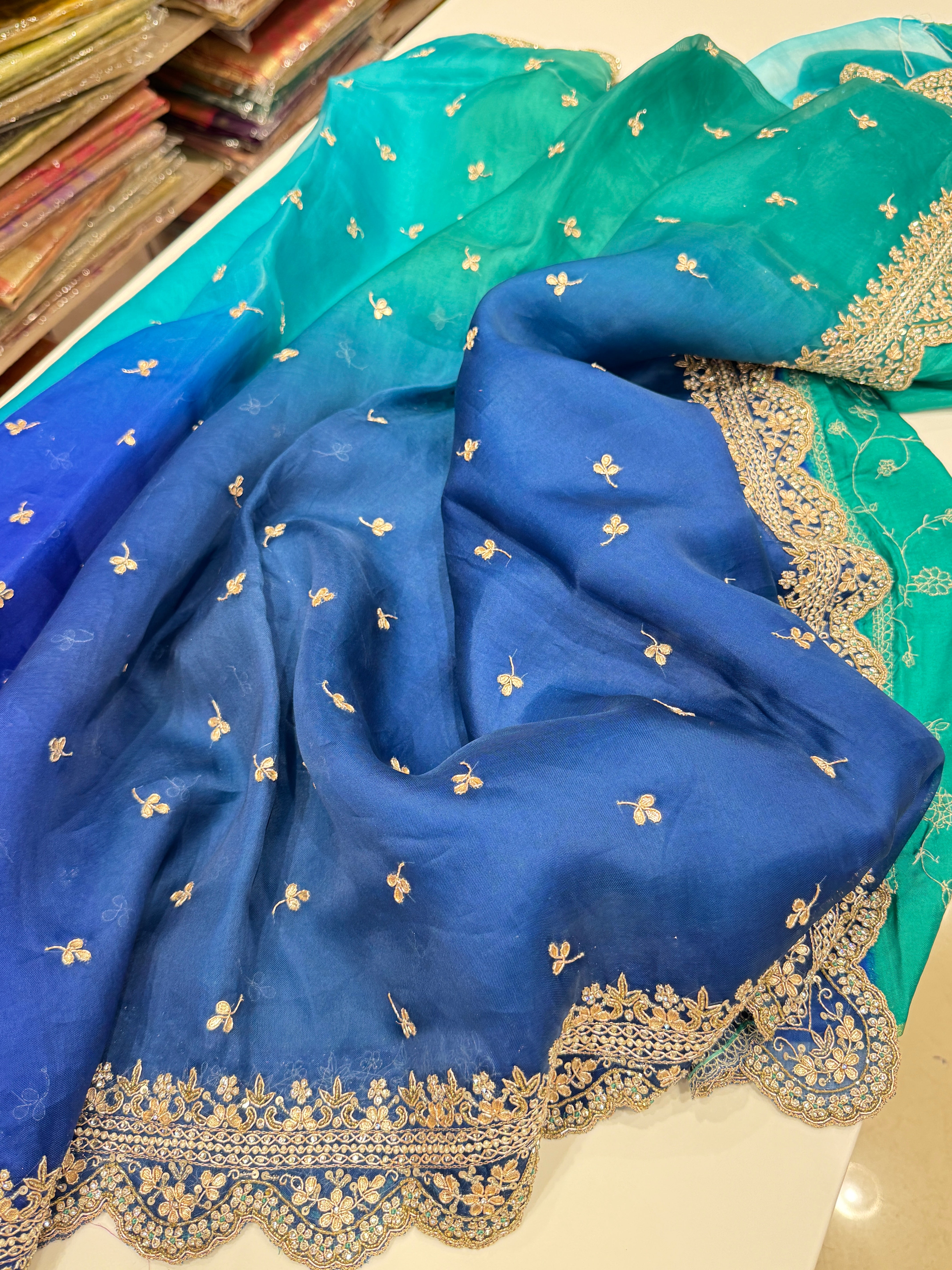 Shaded Pure Organza Hand Embroidery Saree