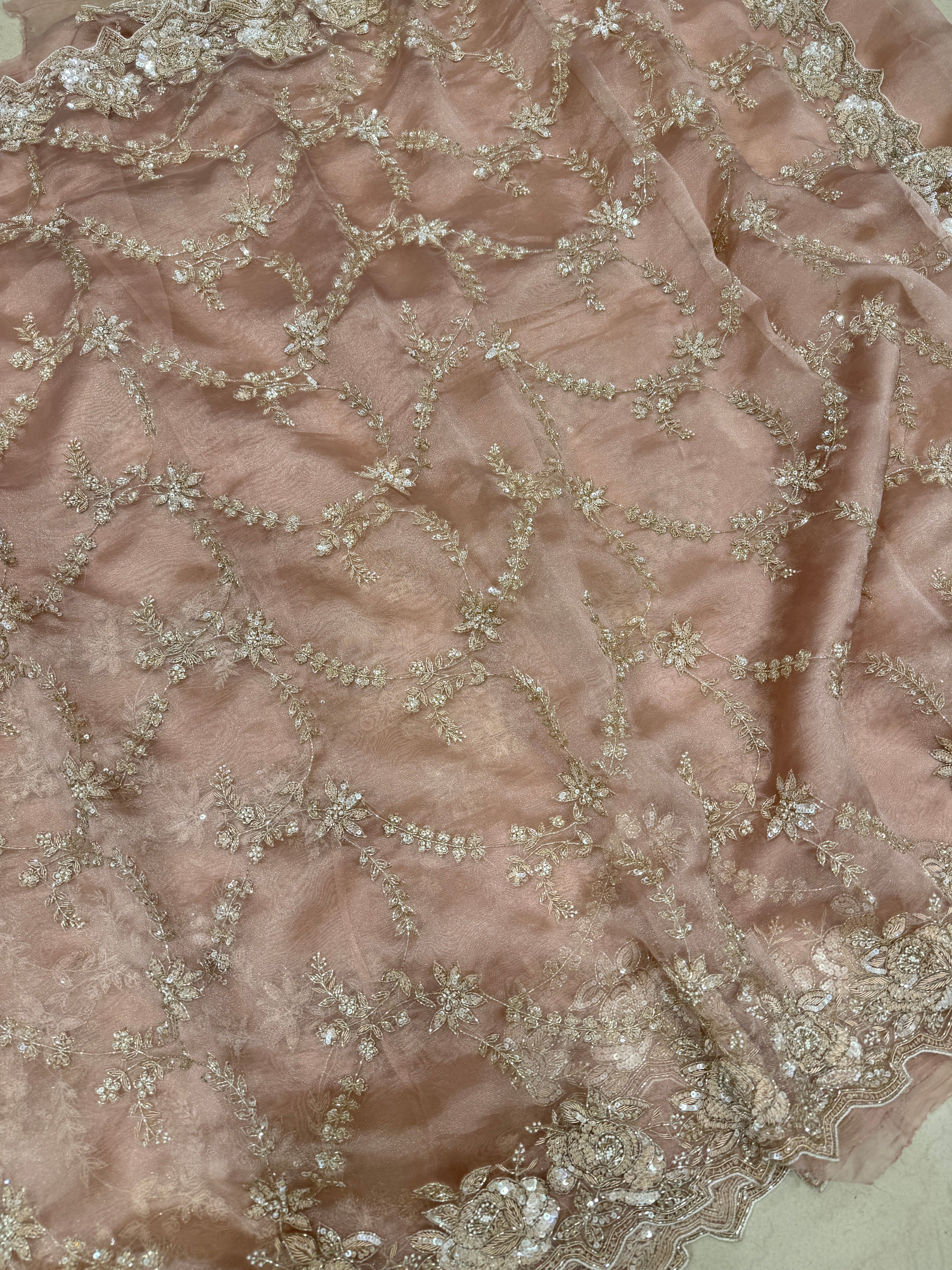 Nude Pink Tissue Organza Zardosi Moti Sequin Jaal Hand Embroidery Saree