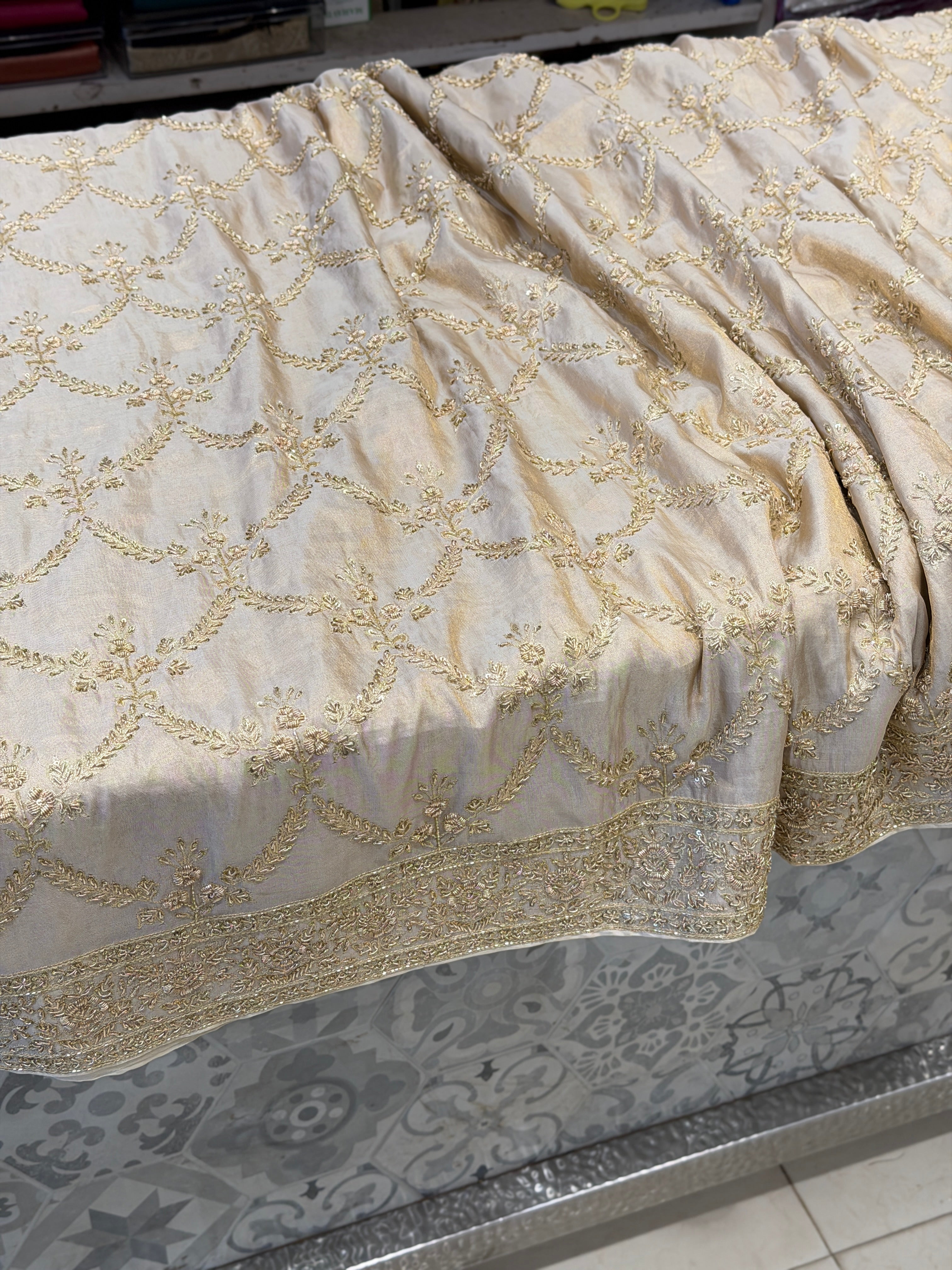 Ivory Tissue Zardosi Crown Jaal Hand Embroidery Saree