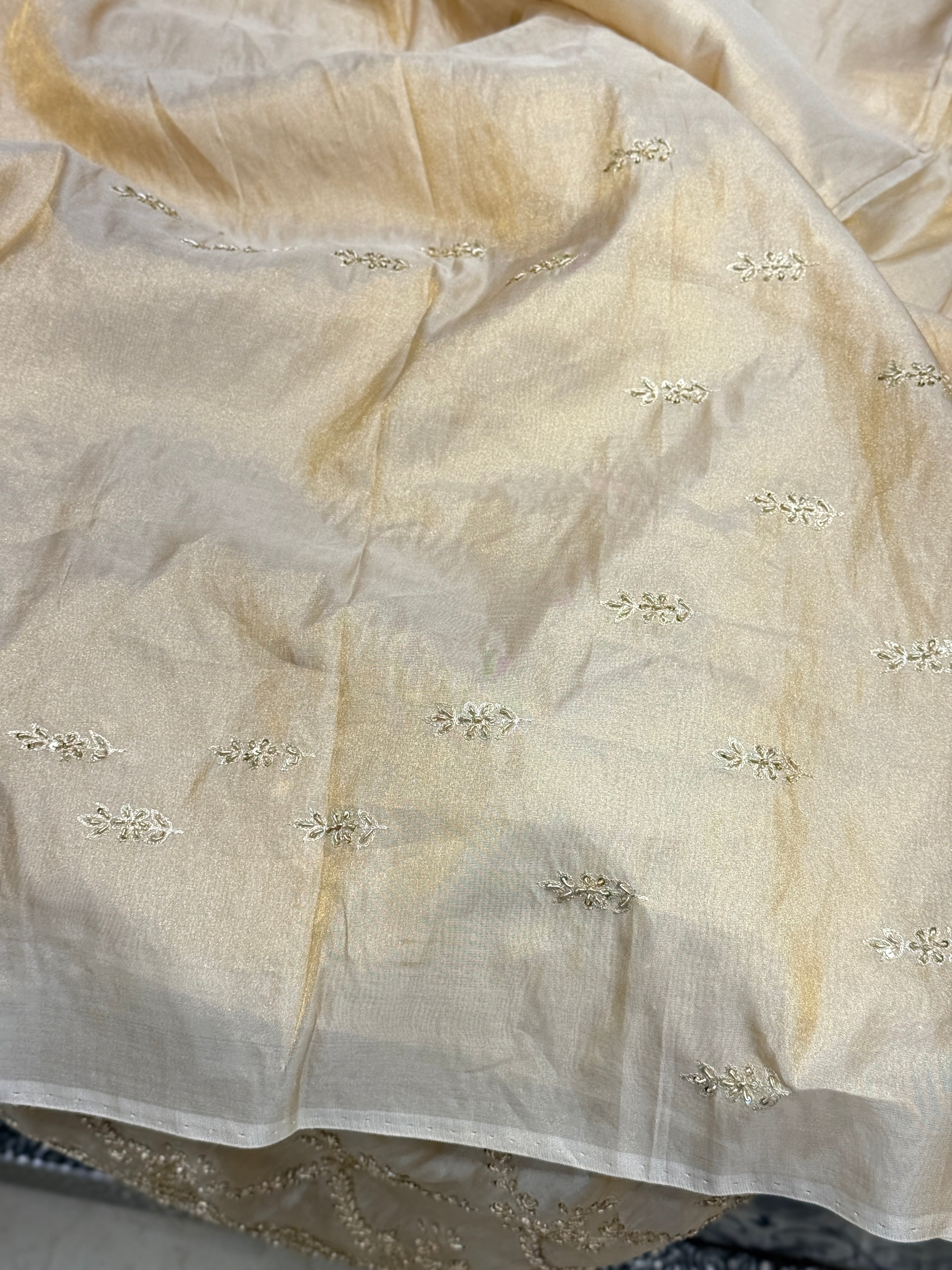 Handloom Tissue Silk Zardosi Hand Embroidery Jaal Saree