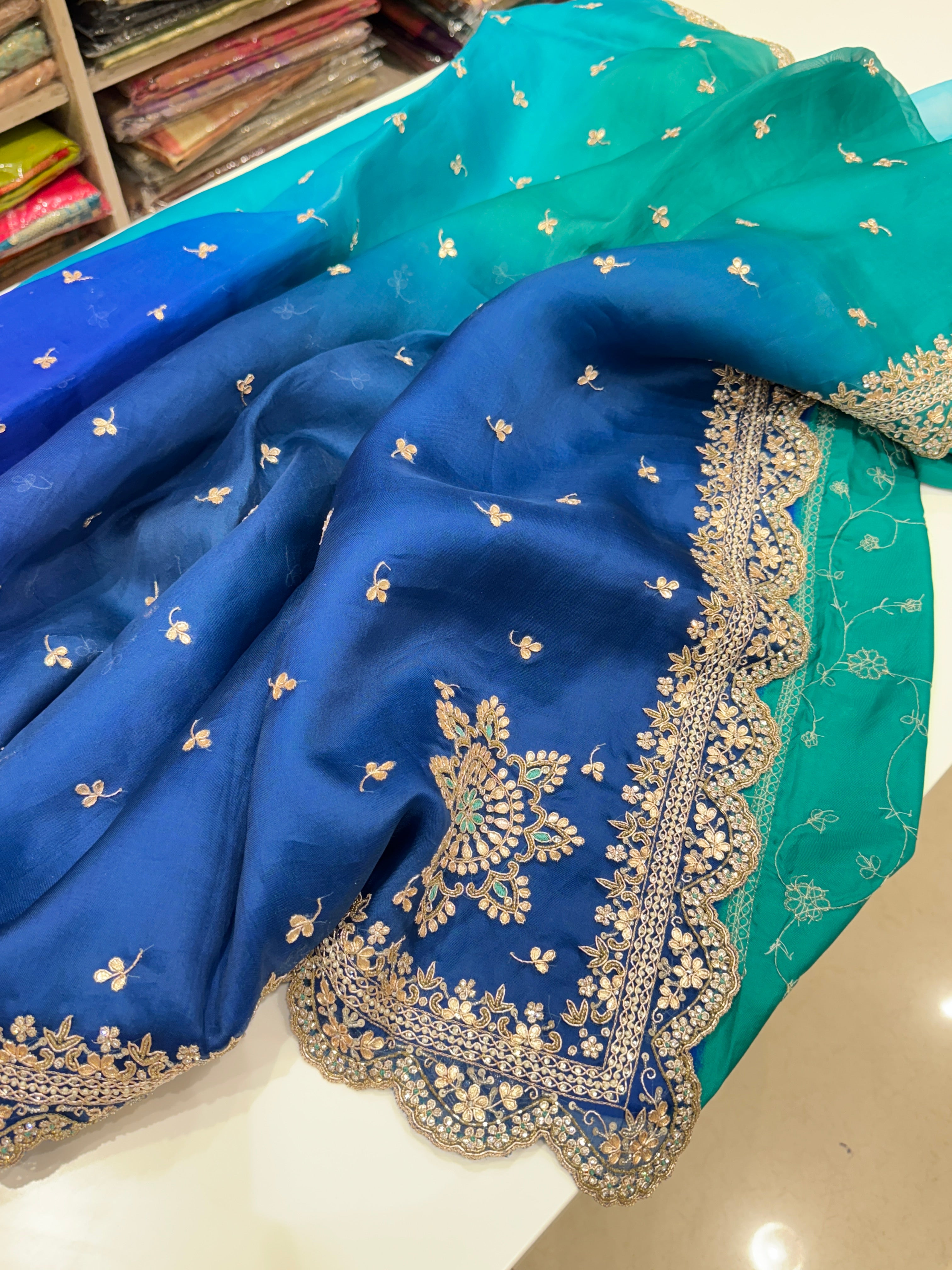 Shaded Pure Organza Hand Embroidery Saree