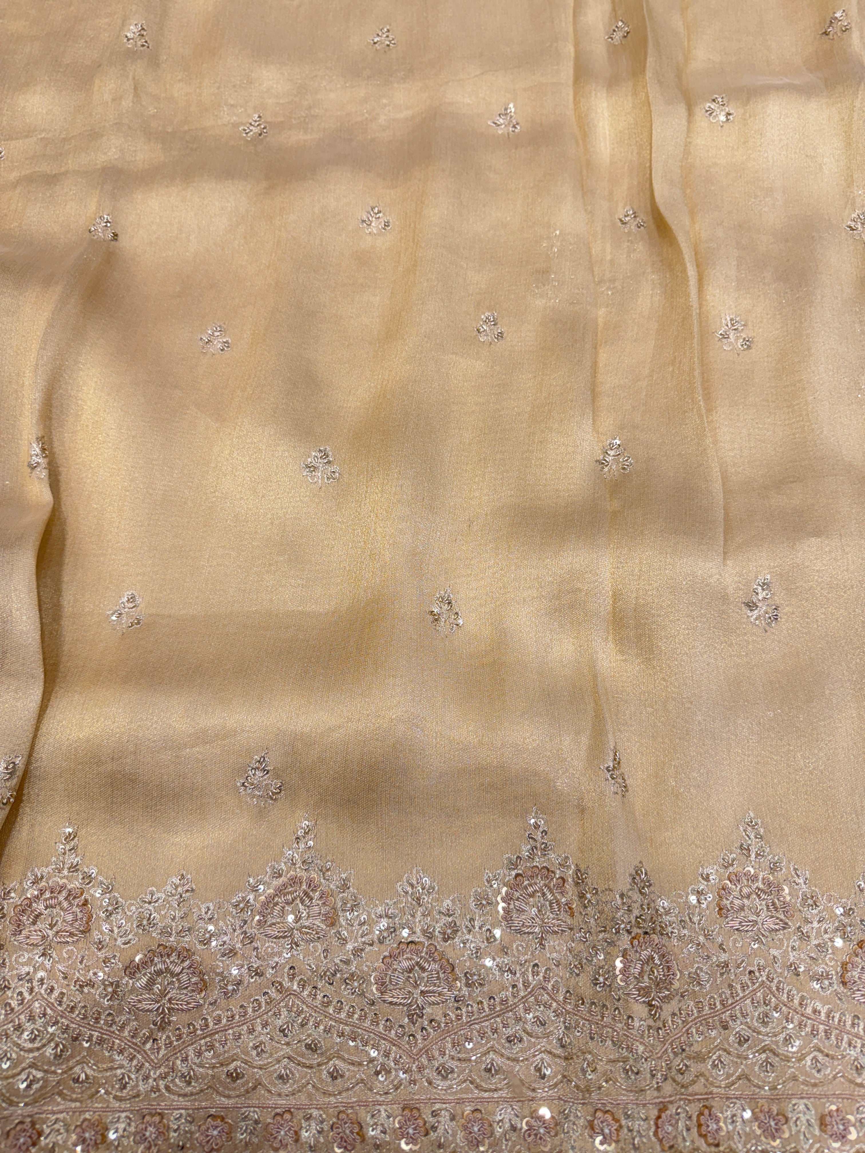 Pure Tissue Zardosi Hand Embroidery Border Saree
