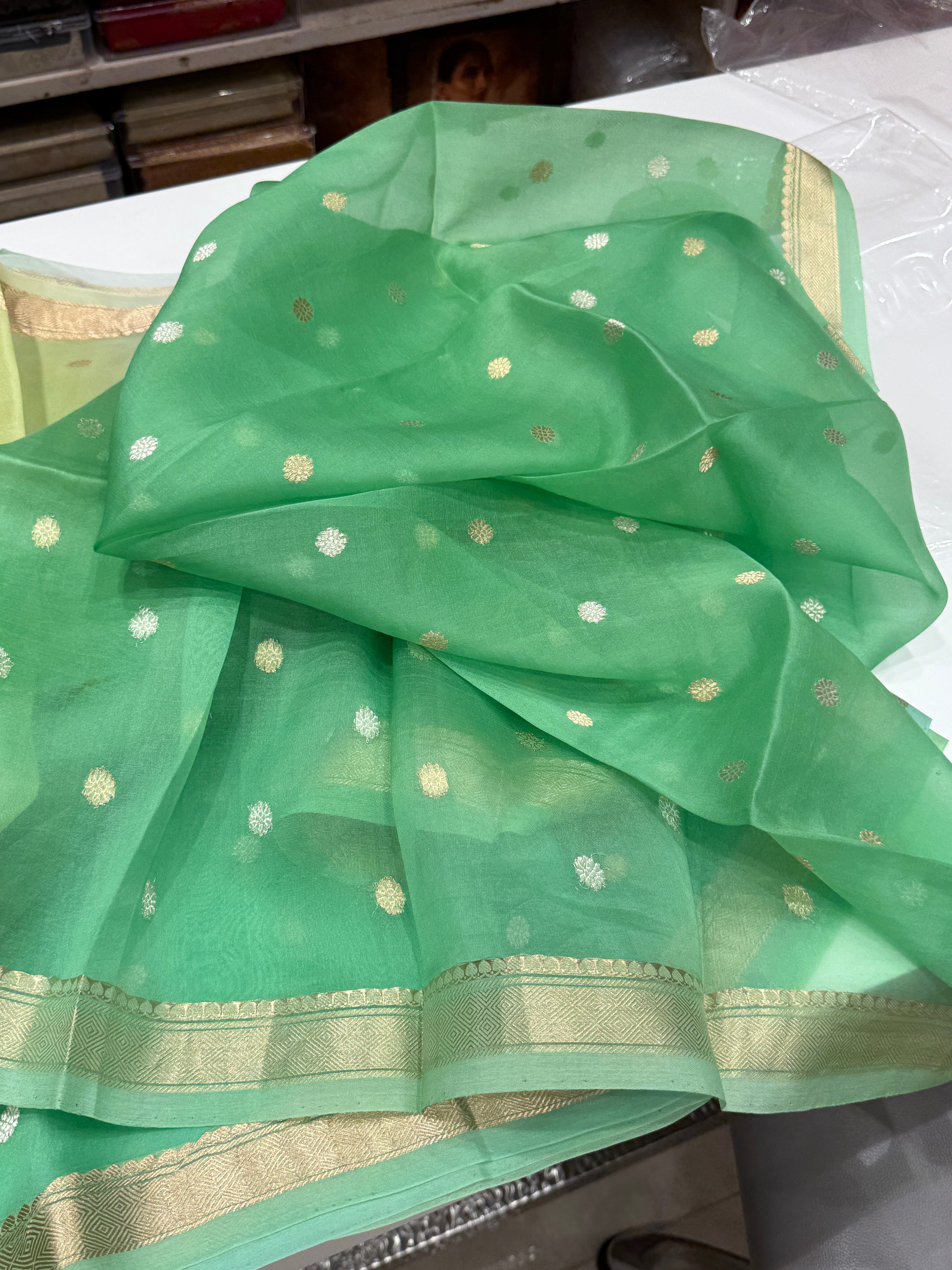 Green Shaded Banarasi Handloom Kora Saree