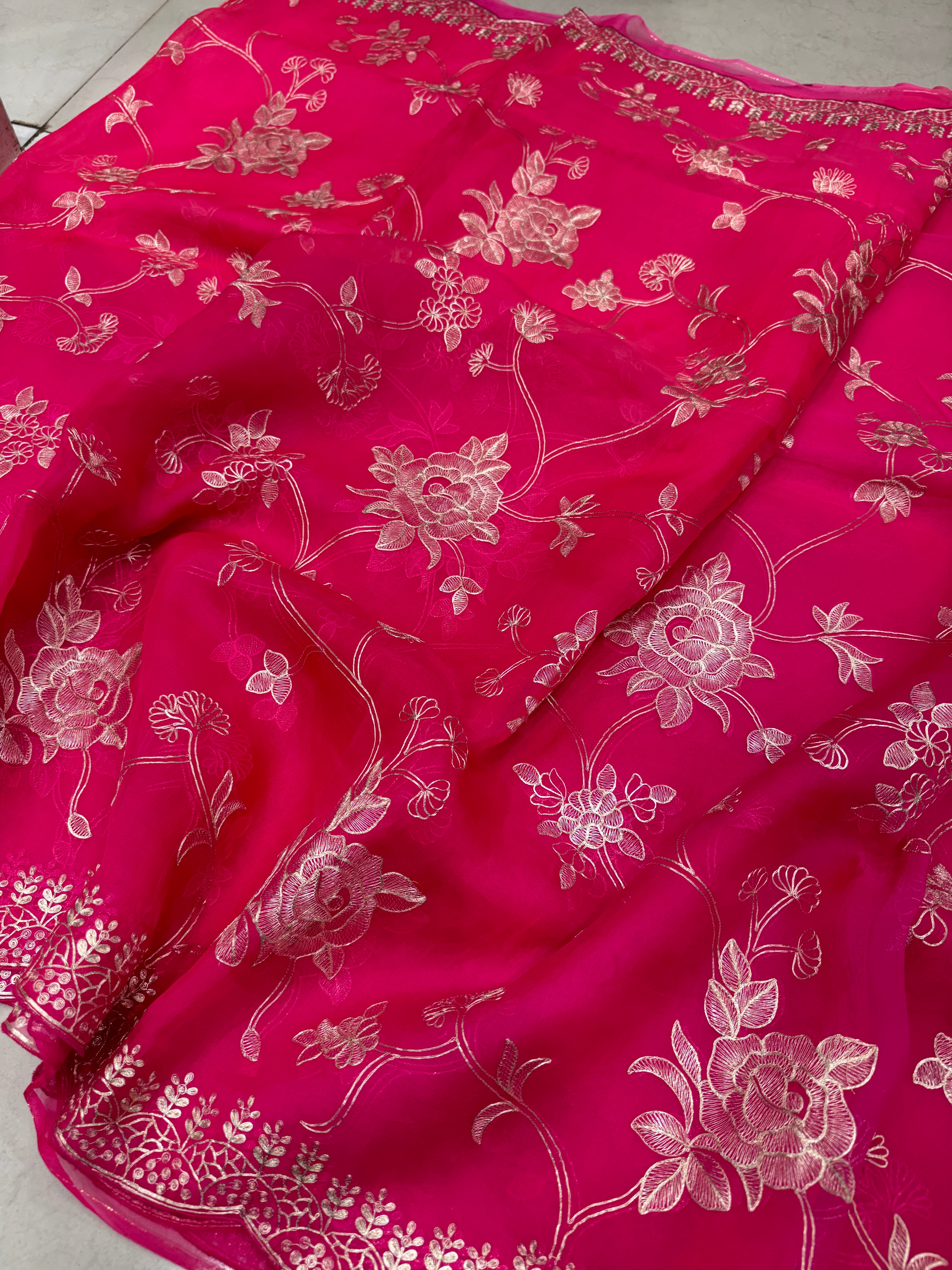 Shaded Handloom Pure Organza Pita Embroidery Saree