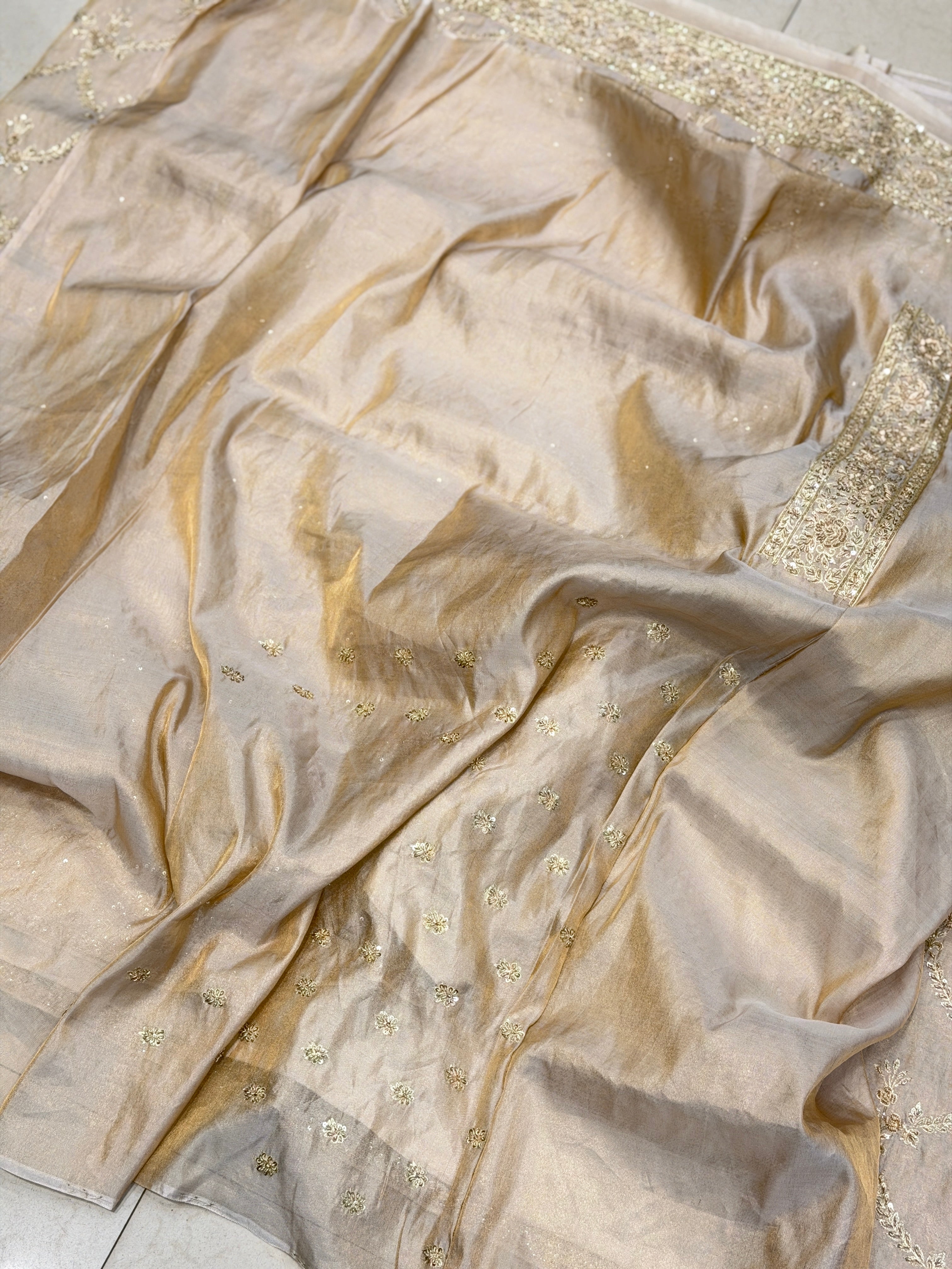 Ivory Tissue Zardosi Crown Jaal Hand Embroidery Saree