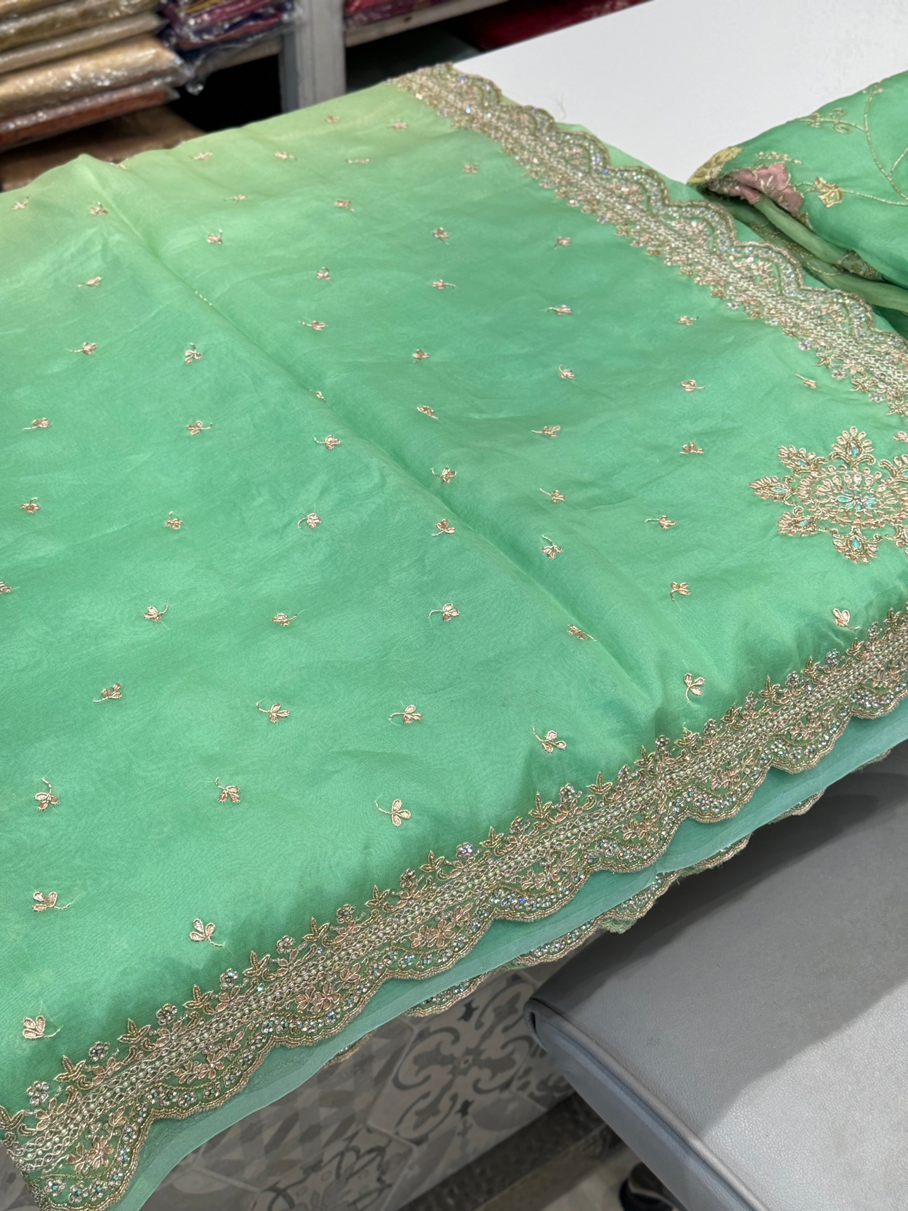 Green Shaded Pure Organza Border Embroidery Saree