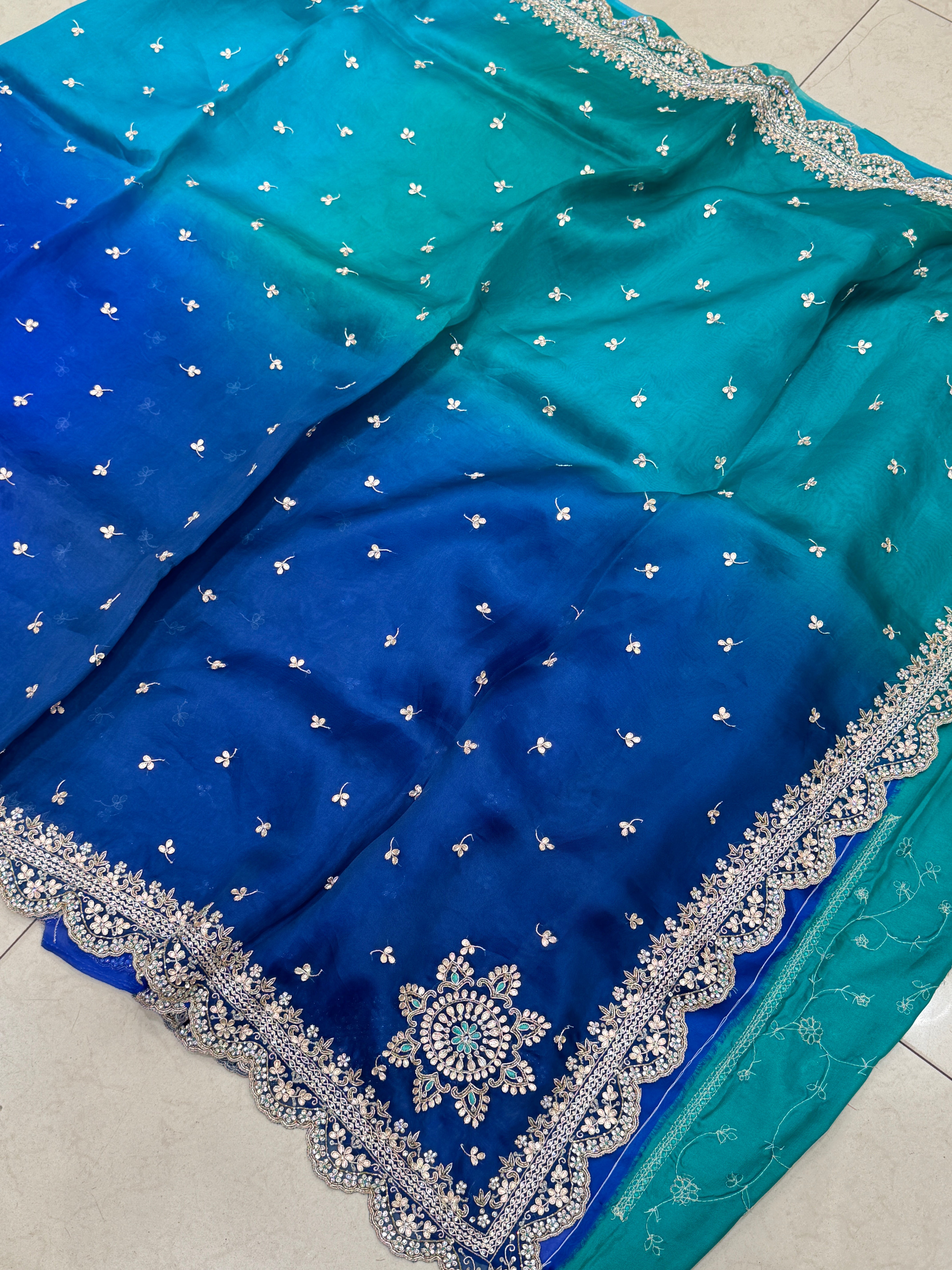 Shaded Pure Organza Hand Embroidery Saree