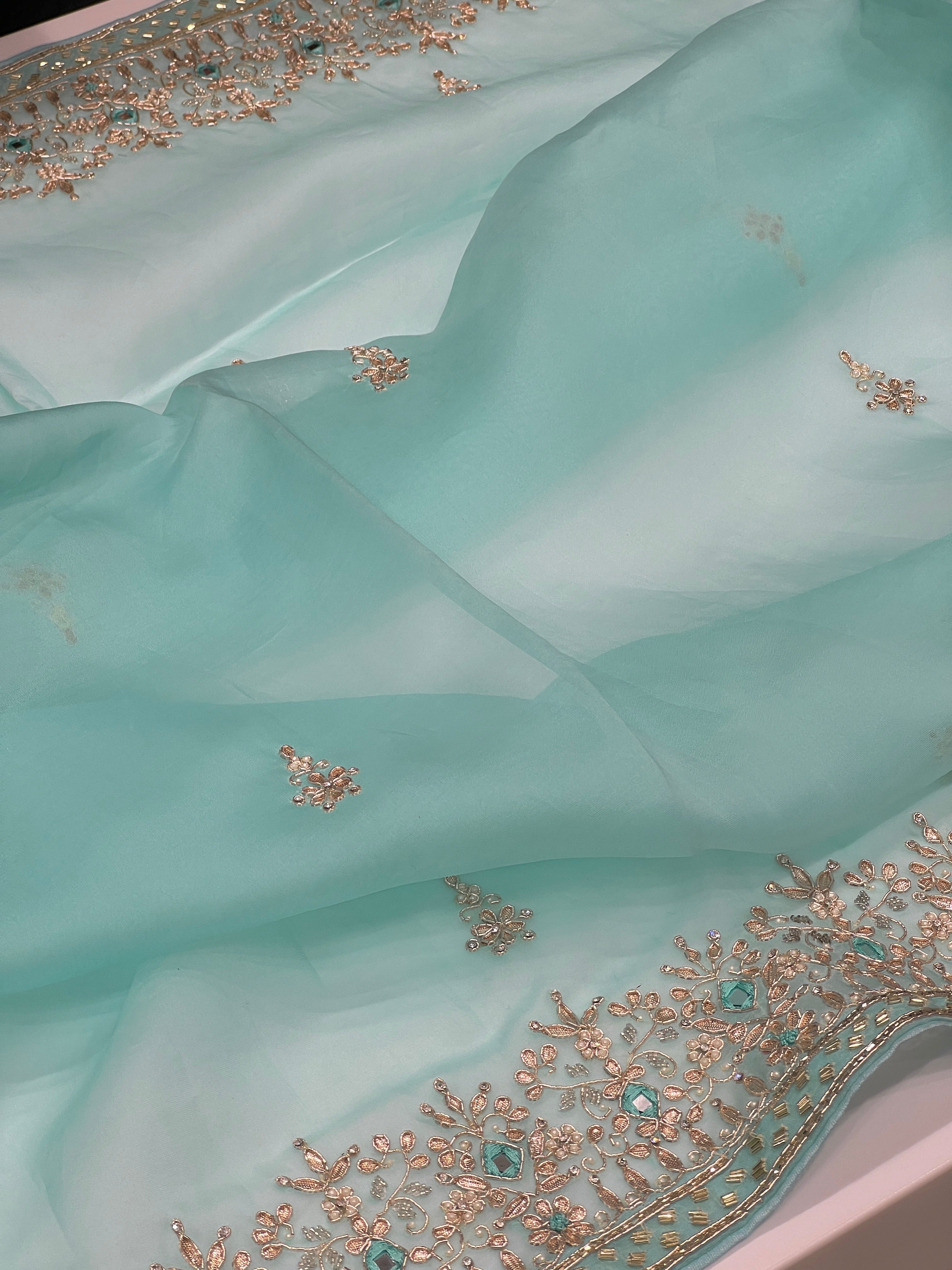 Light Blue Organza Hand Embroidery Saree