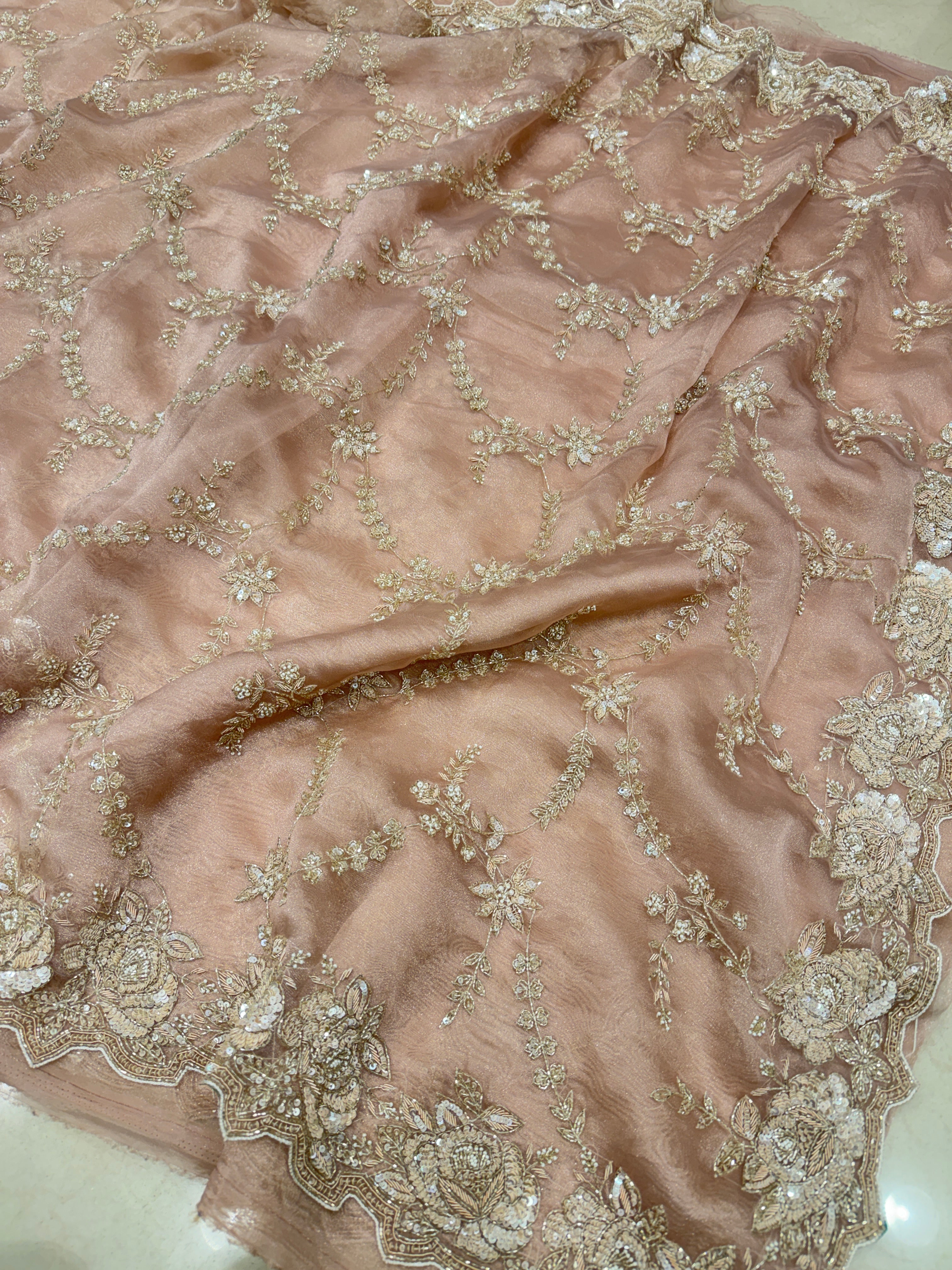Nude Pink Tissue Organza Zardosi Moti Sequin Jaal Hand Embroidery Saree
