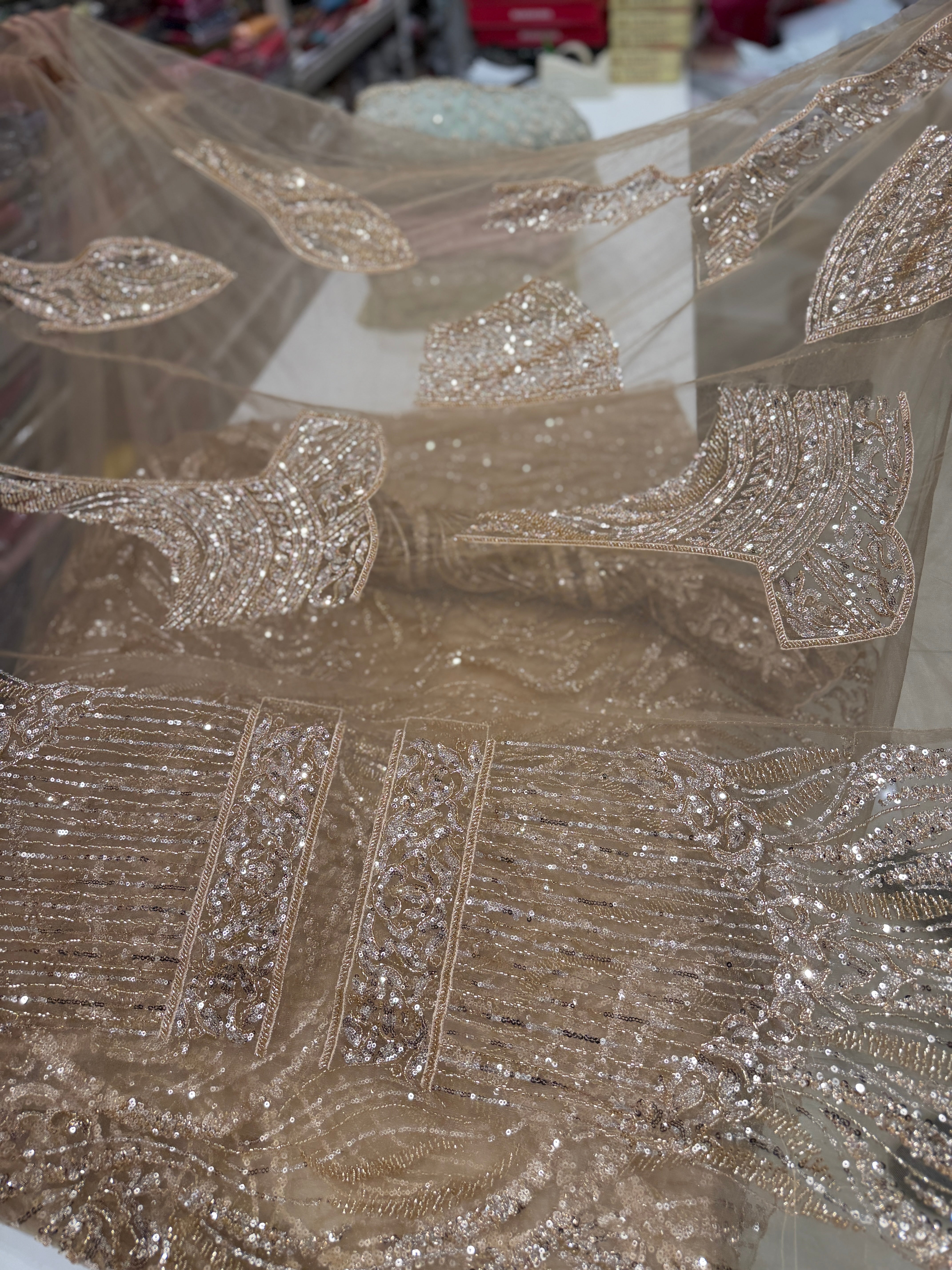 Champagne Gold Net Embroidery Moti Sequin Jaal Saree