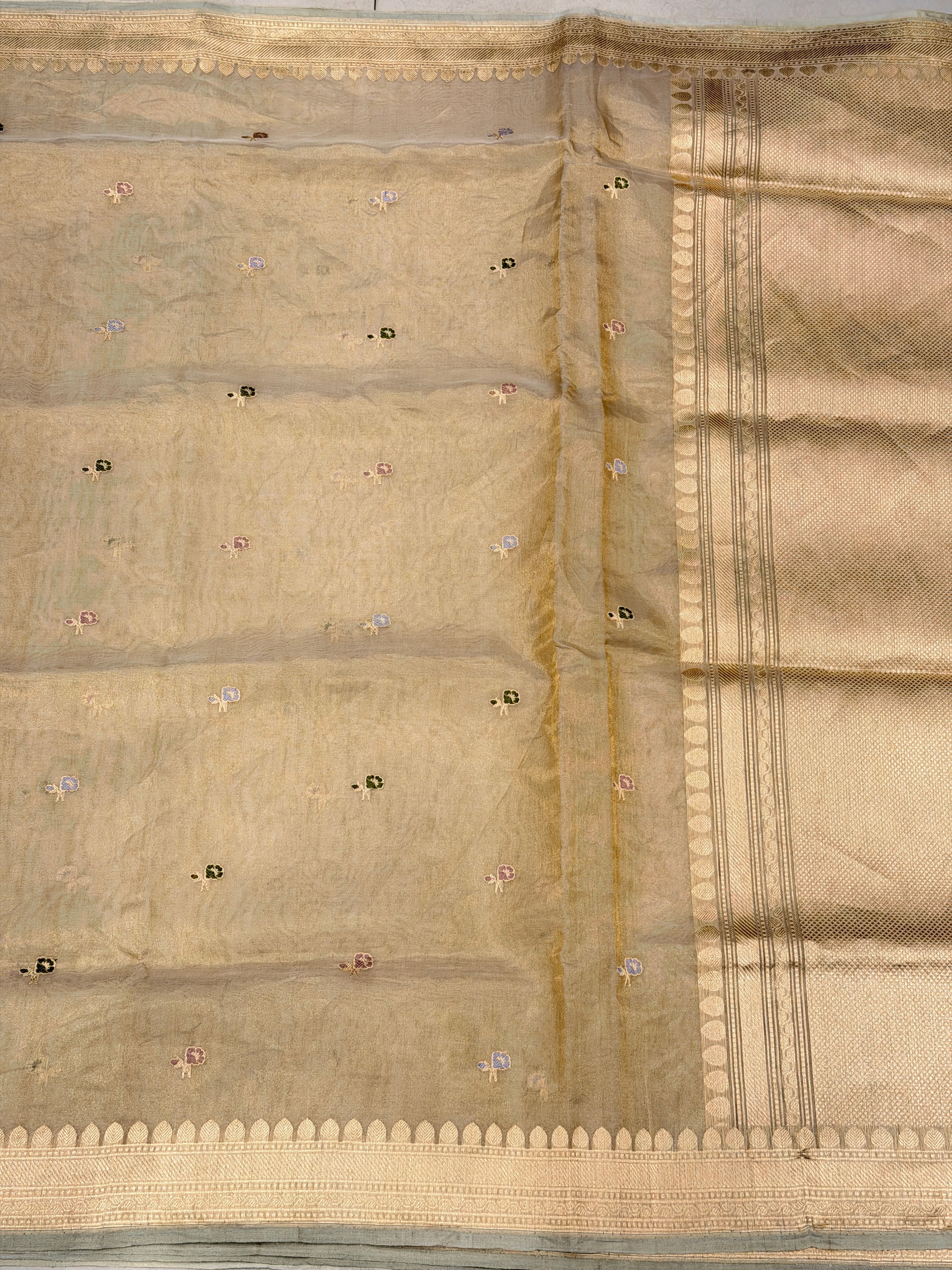 Beige Gold Tissue Banarasi Handloom Kadwa Buttis Saree